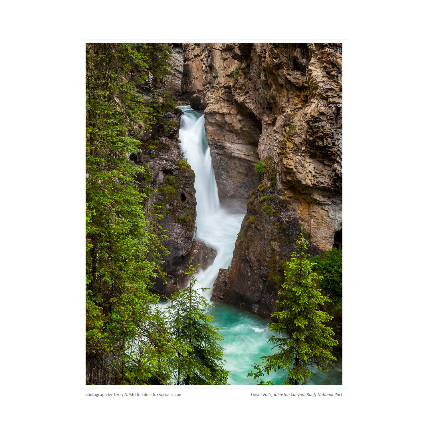 11:10am, Lower Falls, Johnston Canyon, Banff National Park, Canada