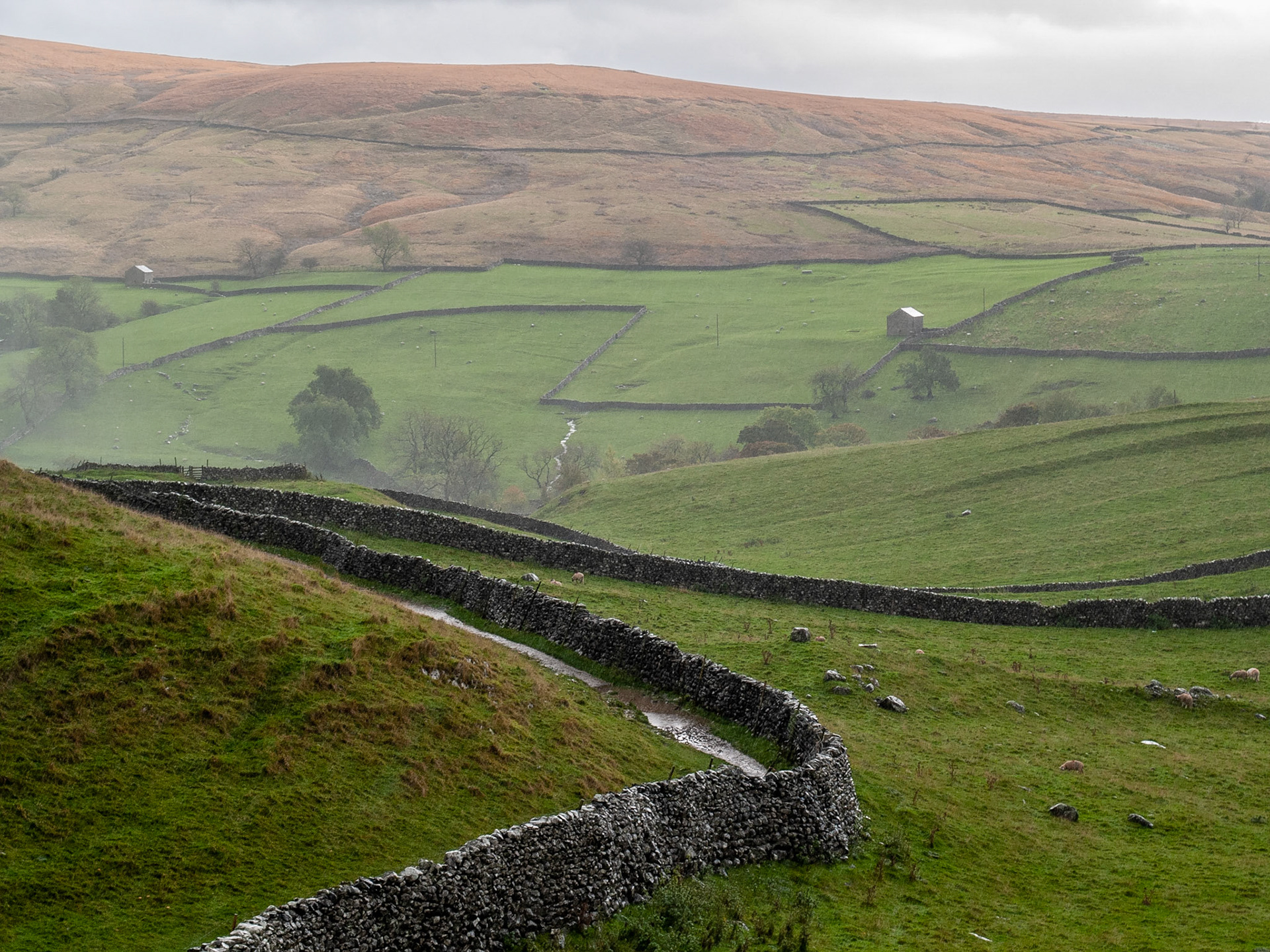 Yorkshire Hues, Goredale, Yorshire Dales National Park, England