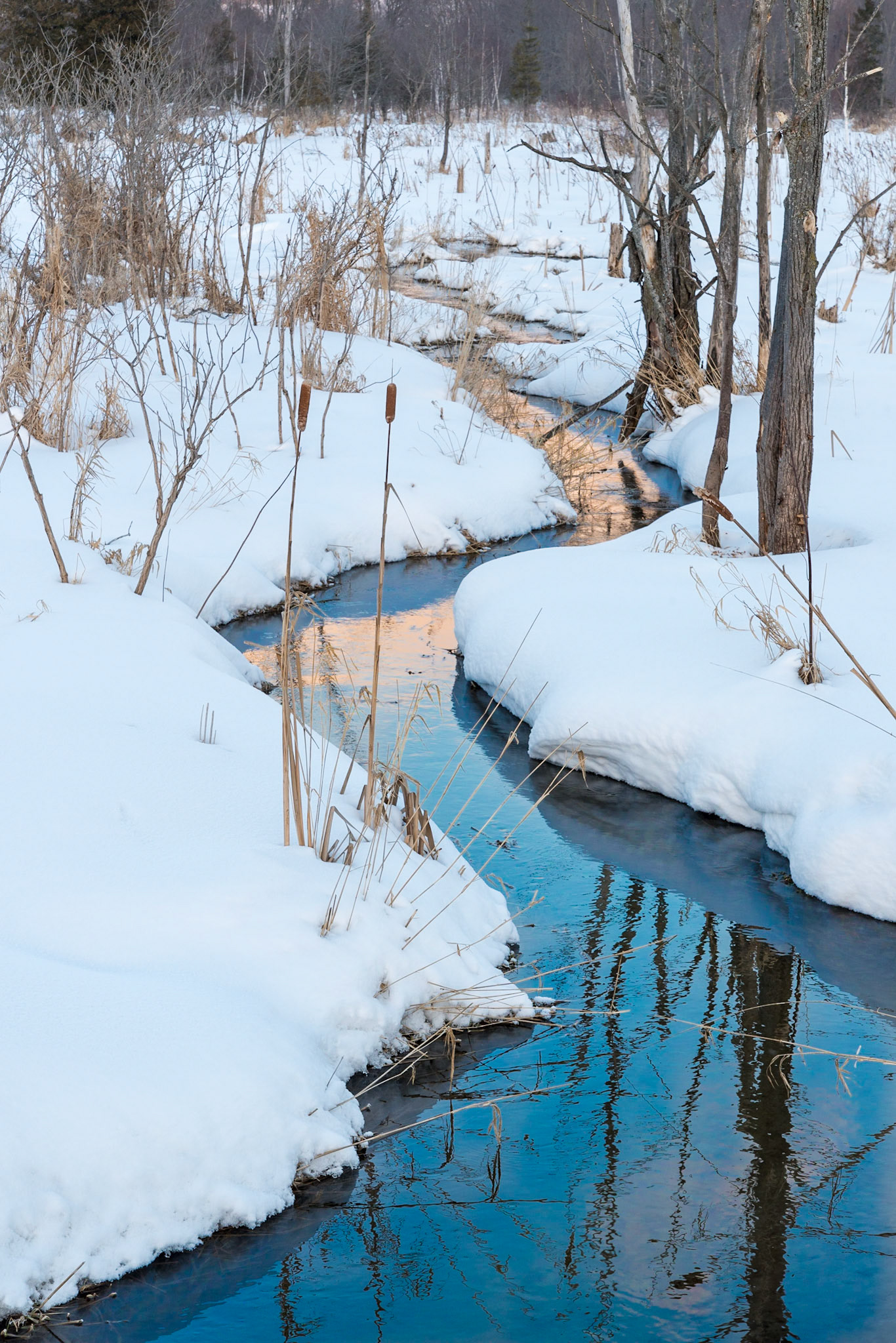 Wintery Brook,Beaver Valley, Ontario