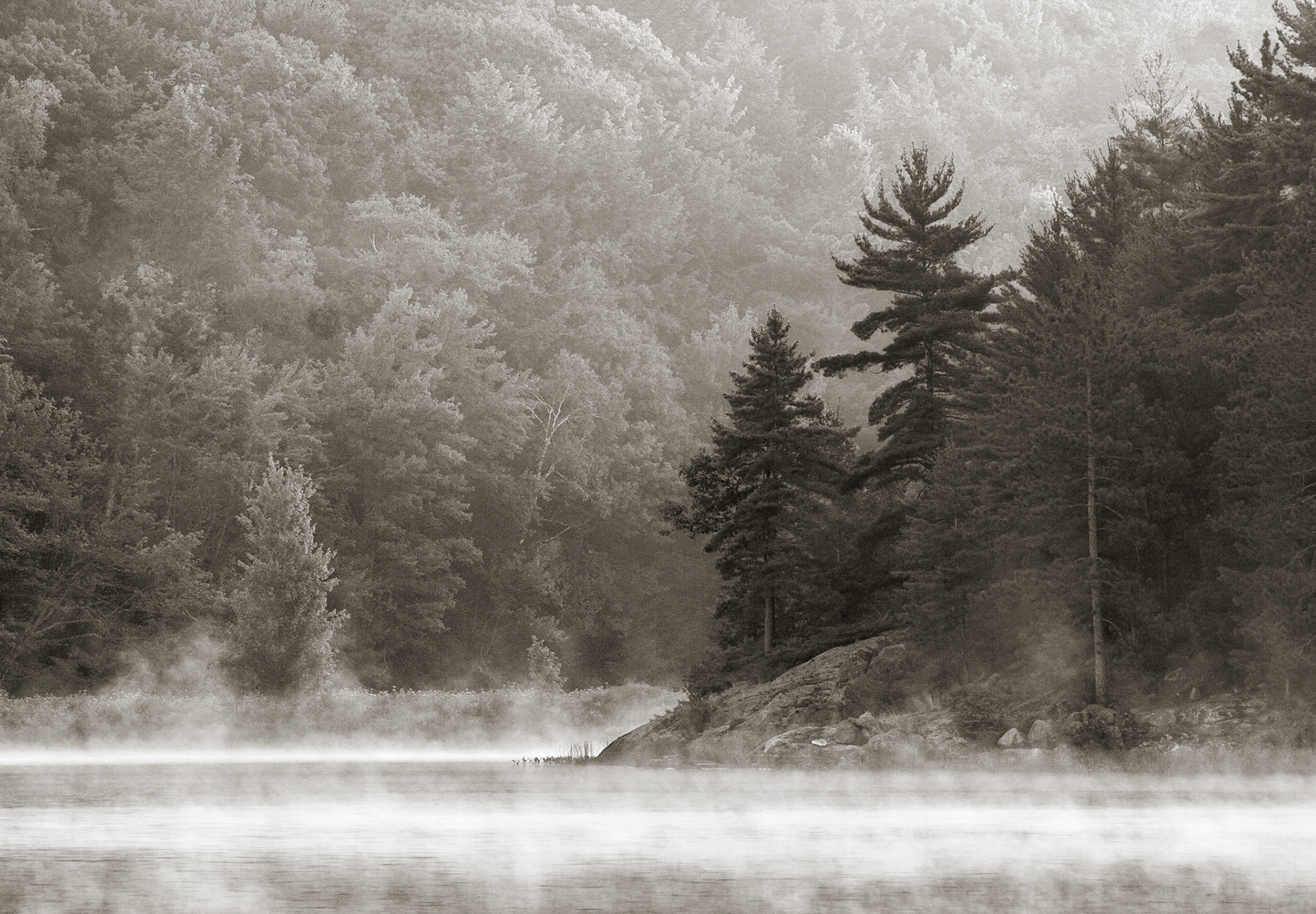 Morning Glow B&W, The Massasauga Provincial Park, Ontario