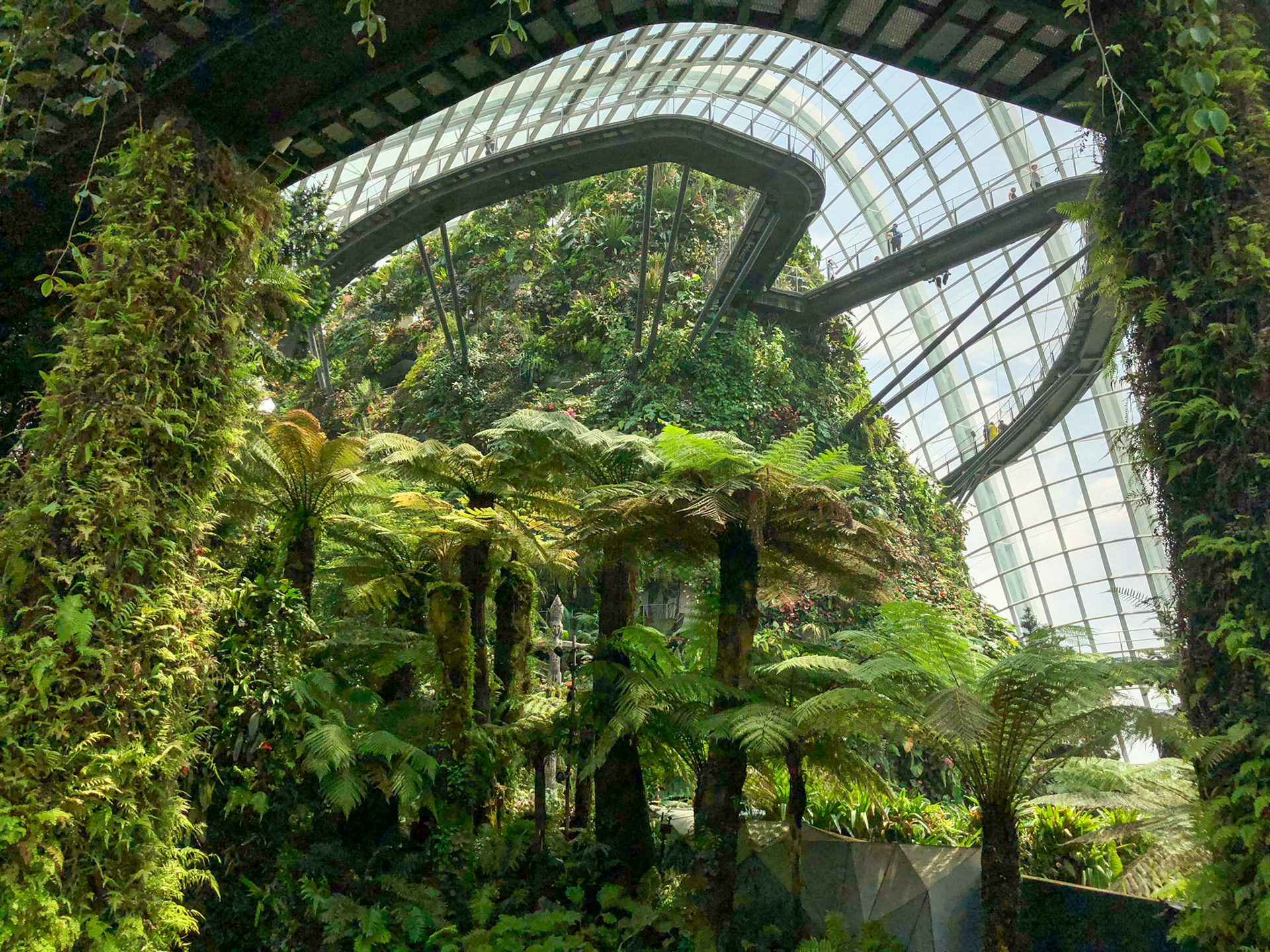 Cloud Forest Dome, Gardens by the Sea, Singapore