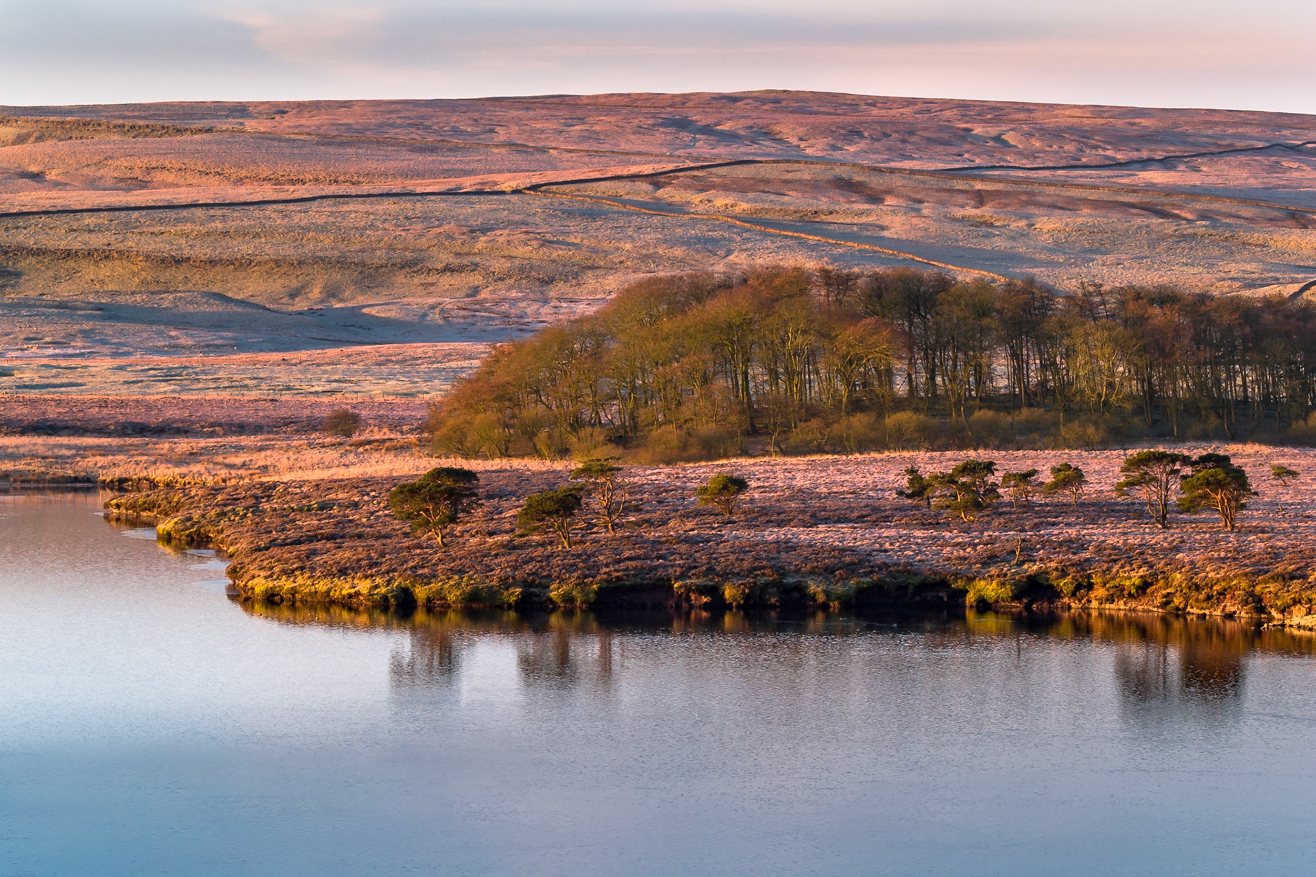 Tranquil scene of Malham Tarn at sunrise with trees and sky reflected in the calm lake