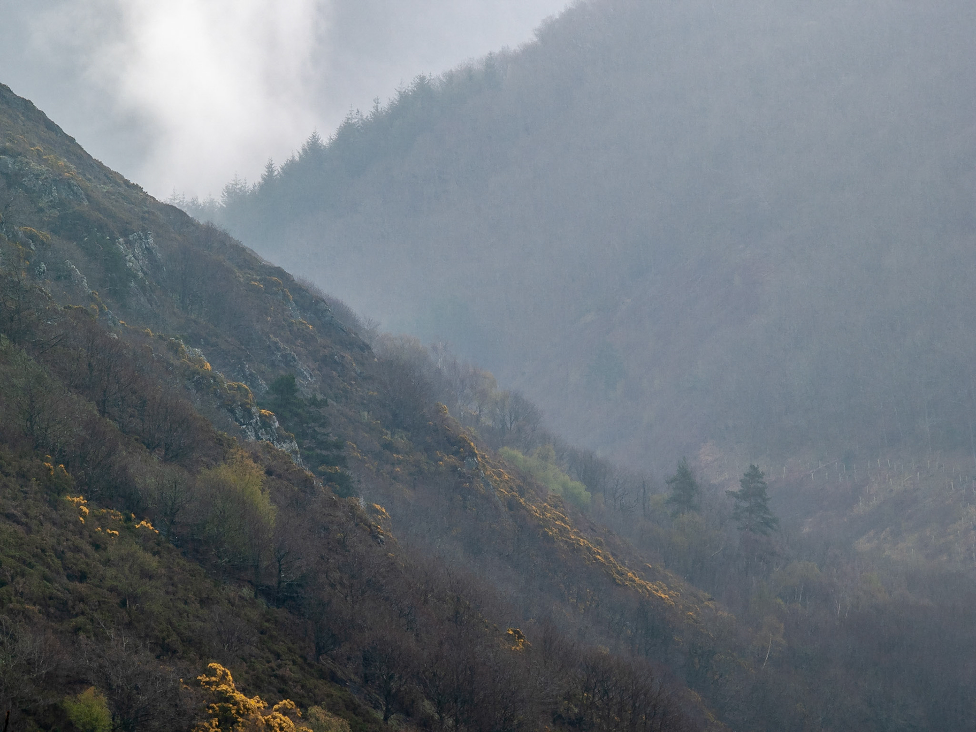 Rain, Teigne Valley, , England