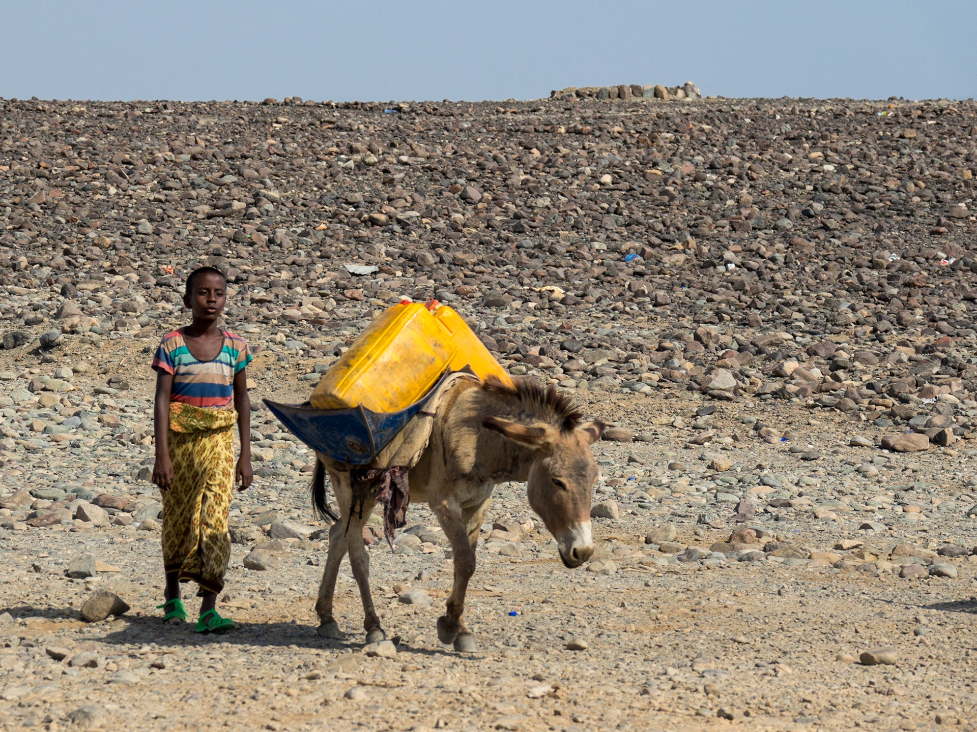 The Danakil Desert, in the Danakil Depression, Ethiopia, is the hottest, driest, most inhospitable place on Earth, yet, the Afarimpeople live there as they have for centuries, despite an extreme lack of water.