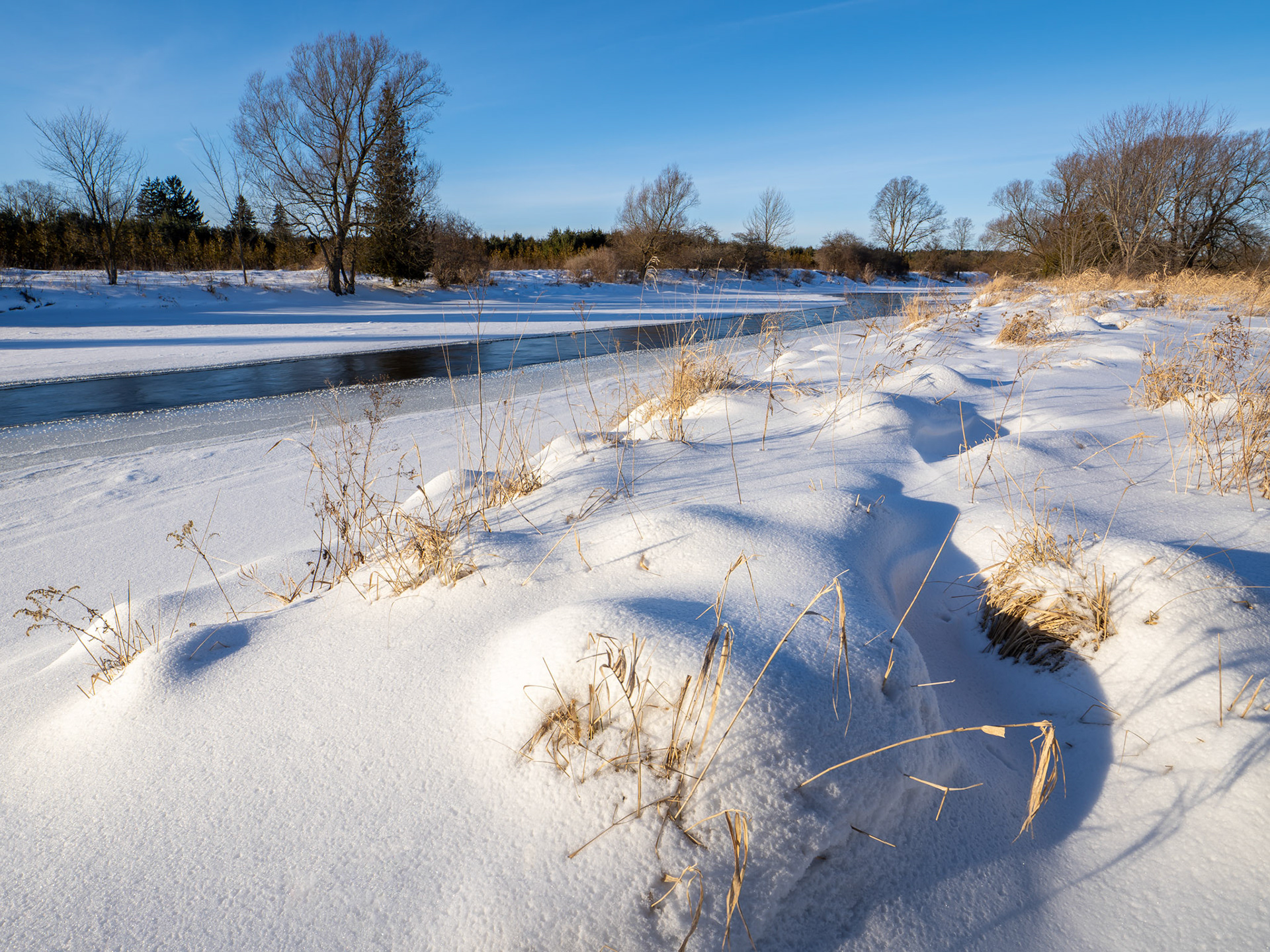 Grand River, Winter