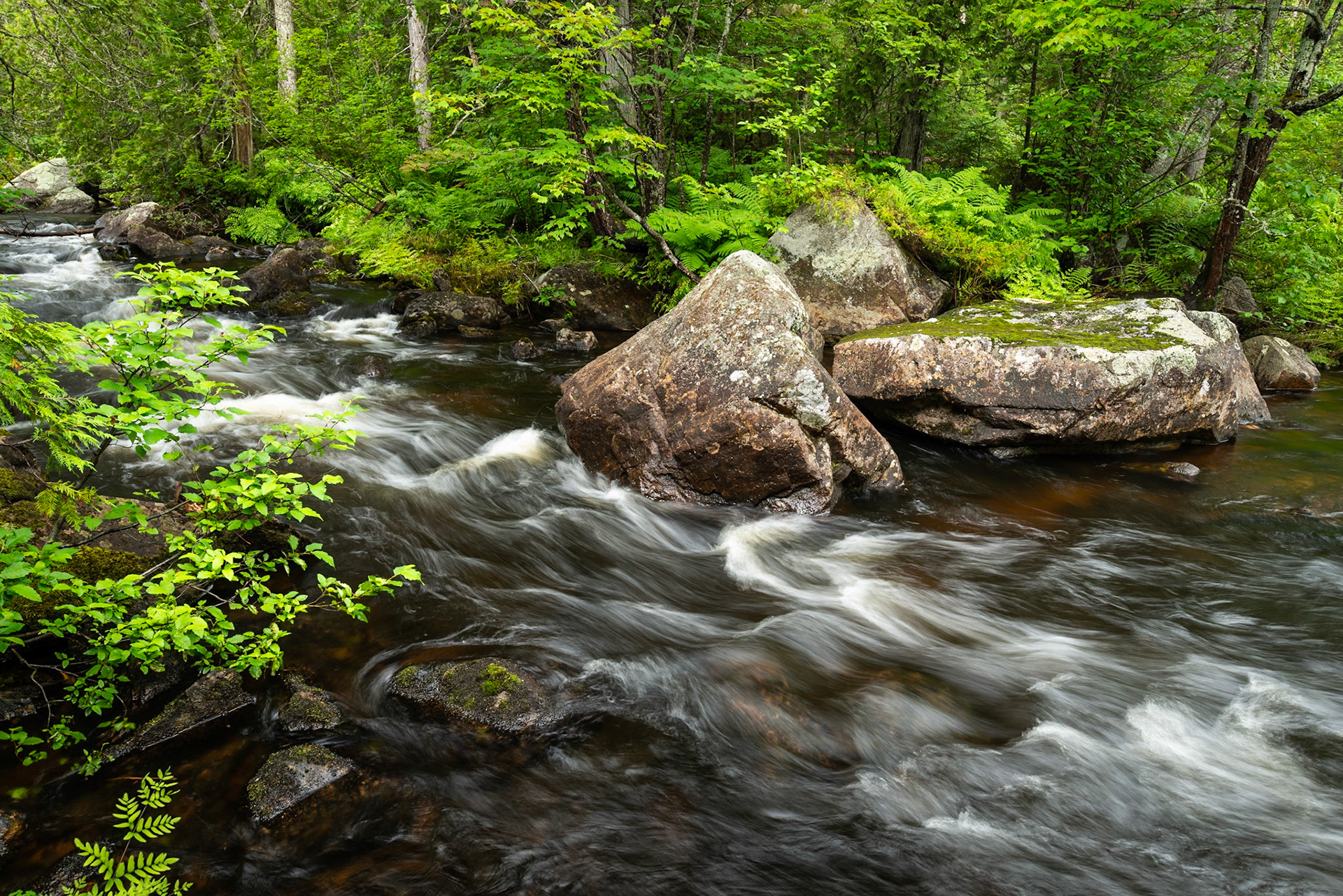 River and Forest, Lake Superior Provincial Park