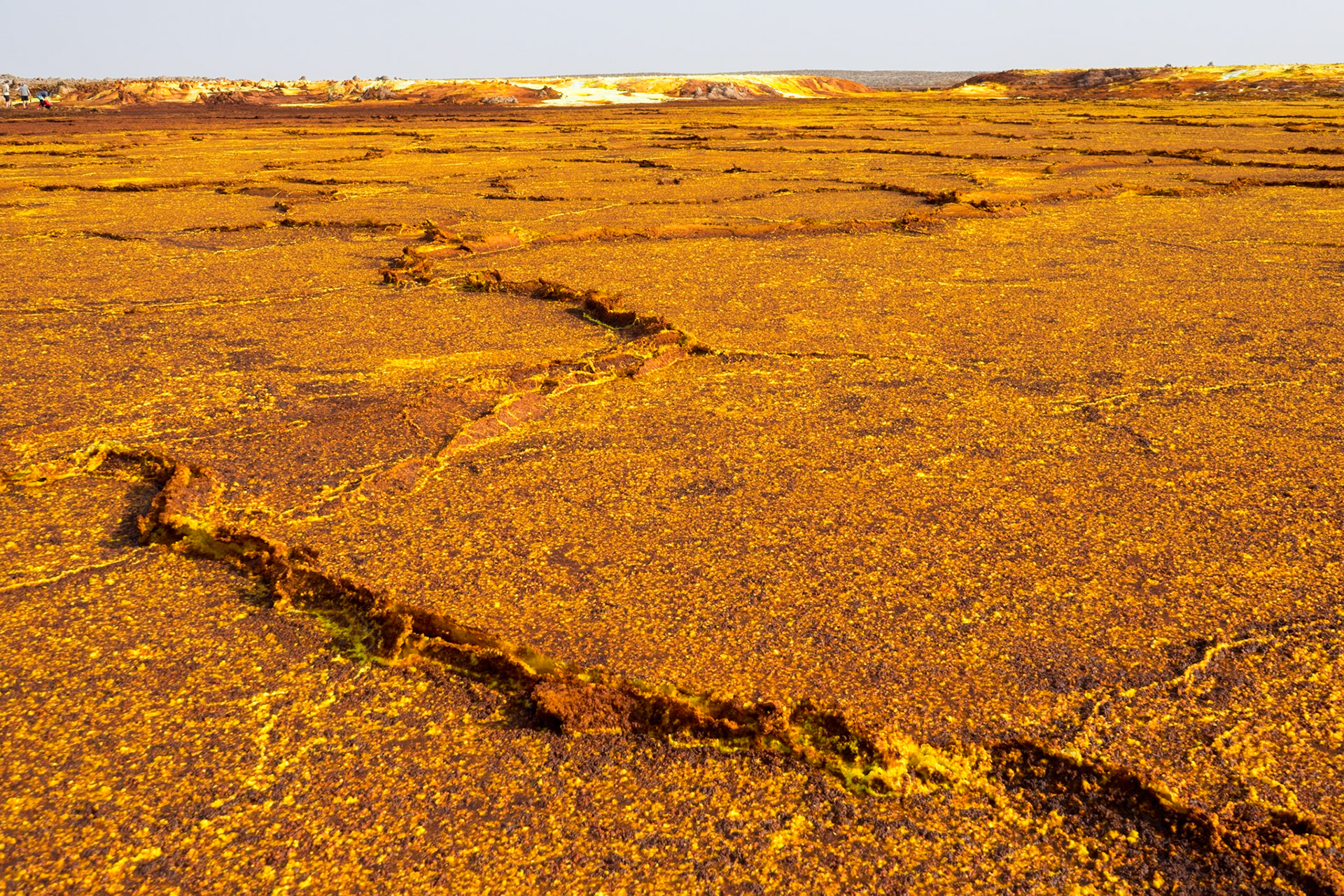 Great Plains of orange-brown geometrically-shaped pans of sulphuric spread out to the horizon in Dallol in Ethiopia’s Danakil Depression, the most inhospitable place on Earth.