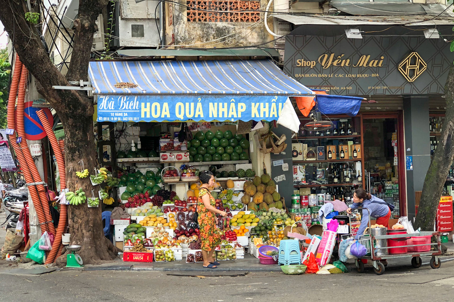 Ha Noi Streets VII, Việt Nam