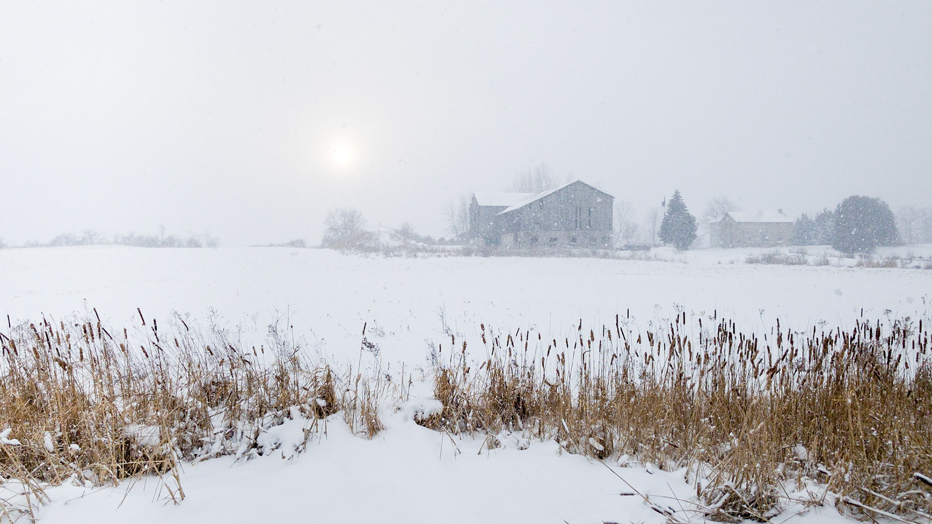 Halton Farm, Christmas Day
