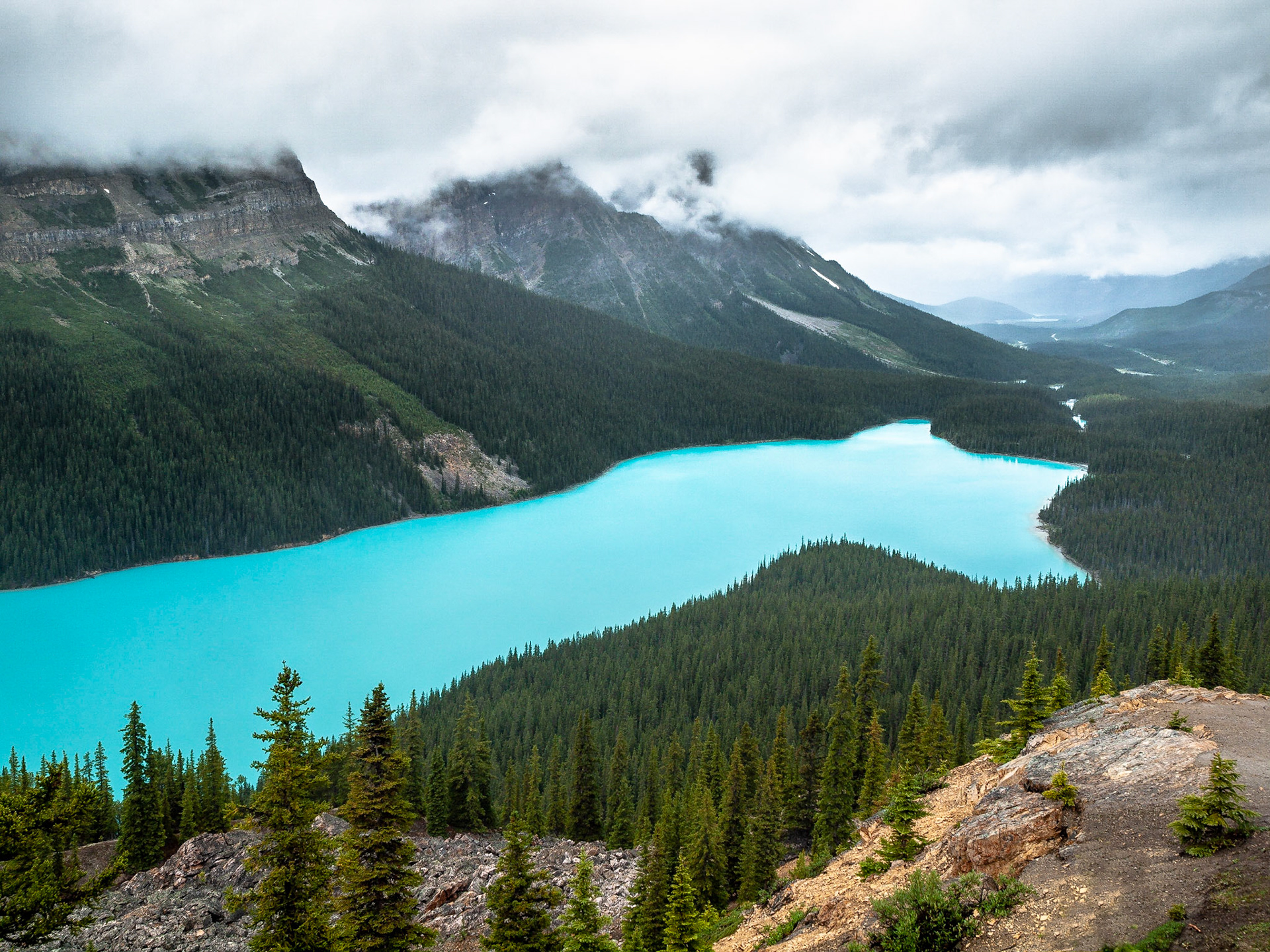 The tourquoise blue waters of glacial Peyto Lake are set amidst the forested slopes of the Rocky Mountains in Banff National Park, Alberta, Canada