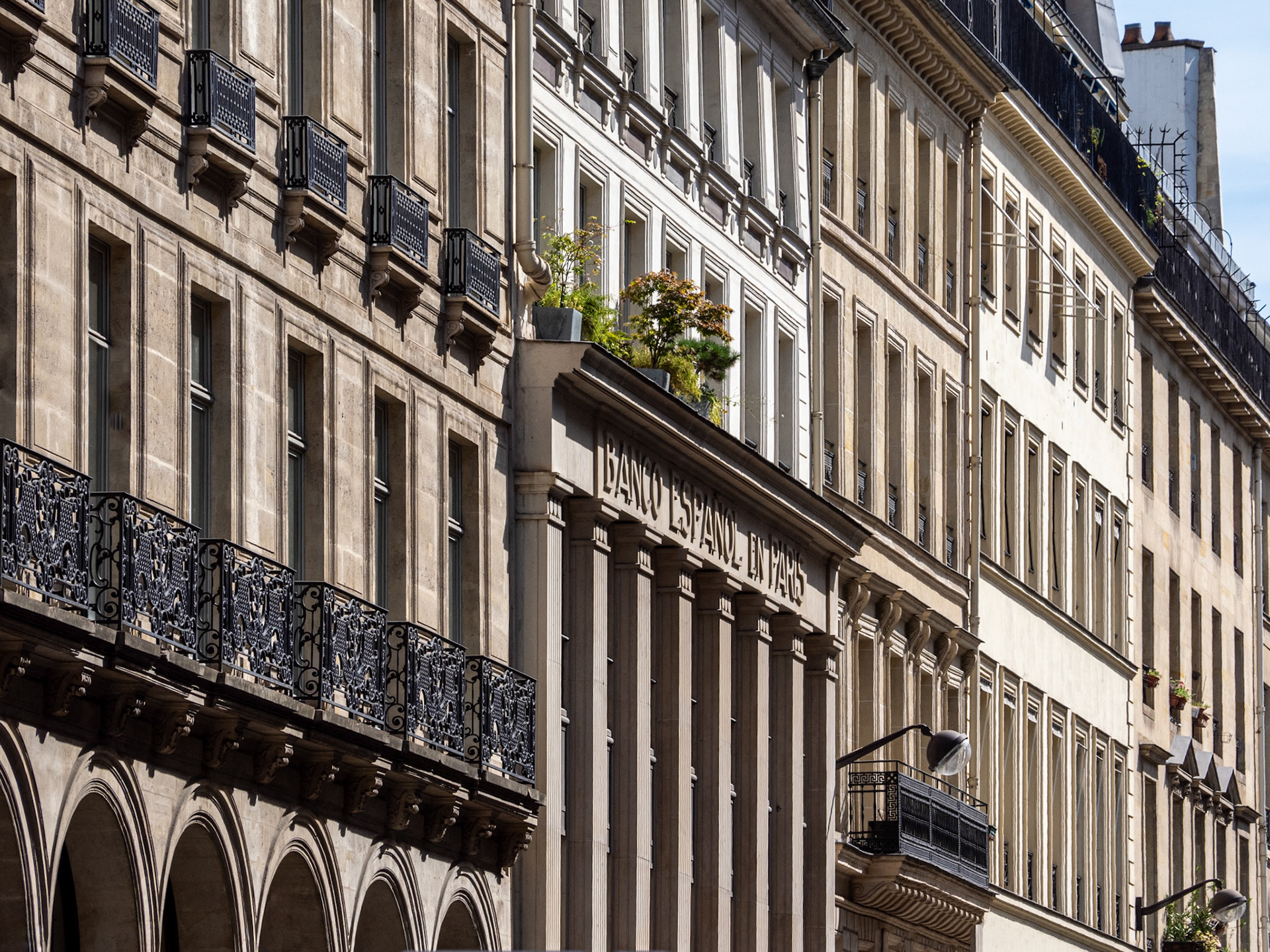 A splash of greenery contrasts with the vertical rectangles of windows and columns in relief with backlighting in this compressed telephoto view of a block of commercial buildings in downtown Paris