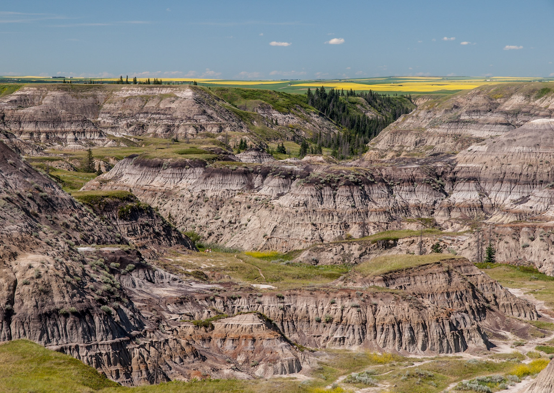 Horseshoe Canyon