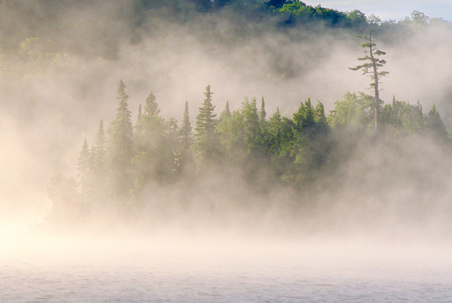 Dawn Mist, Biggar Lake, Algonquin Provincial Park
