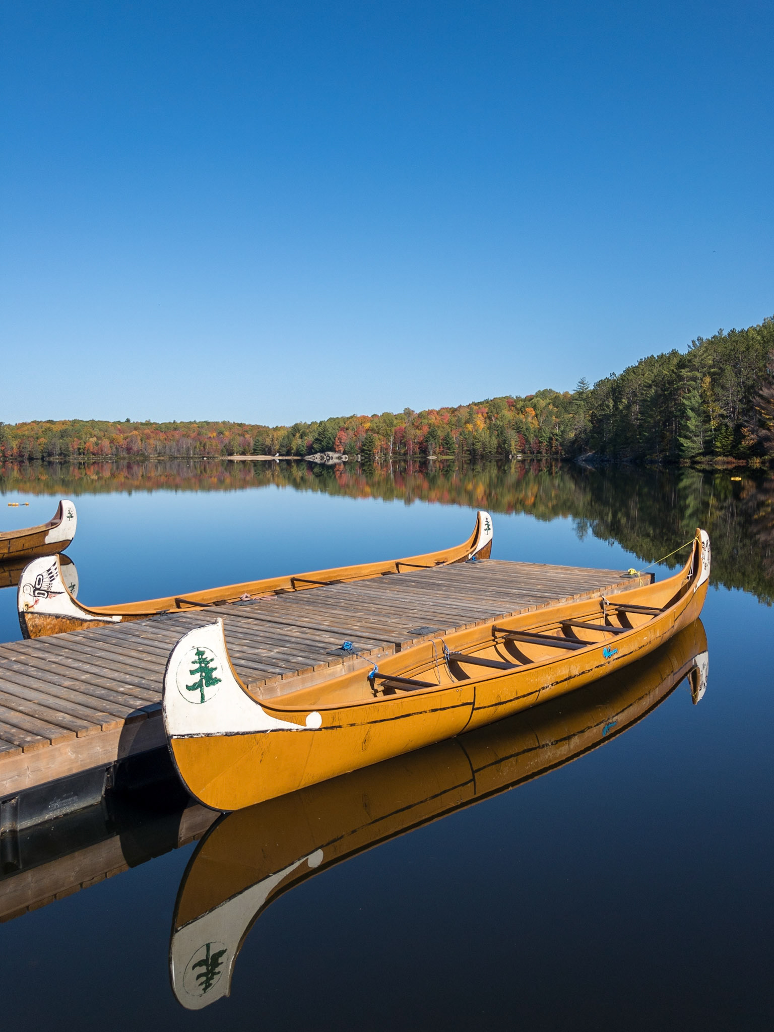 Two voyageur canoes are tied up to dock on glass-smooth blue lake water in morning light with the autumn colours of a mixed forest along the far shoreline.