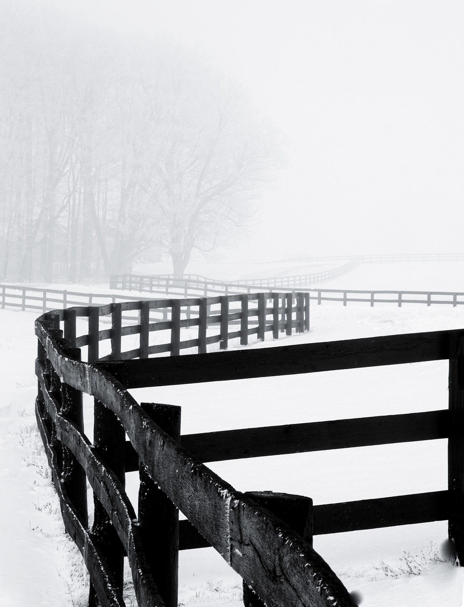 Fences, Fog and Hoar Frost (V)