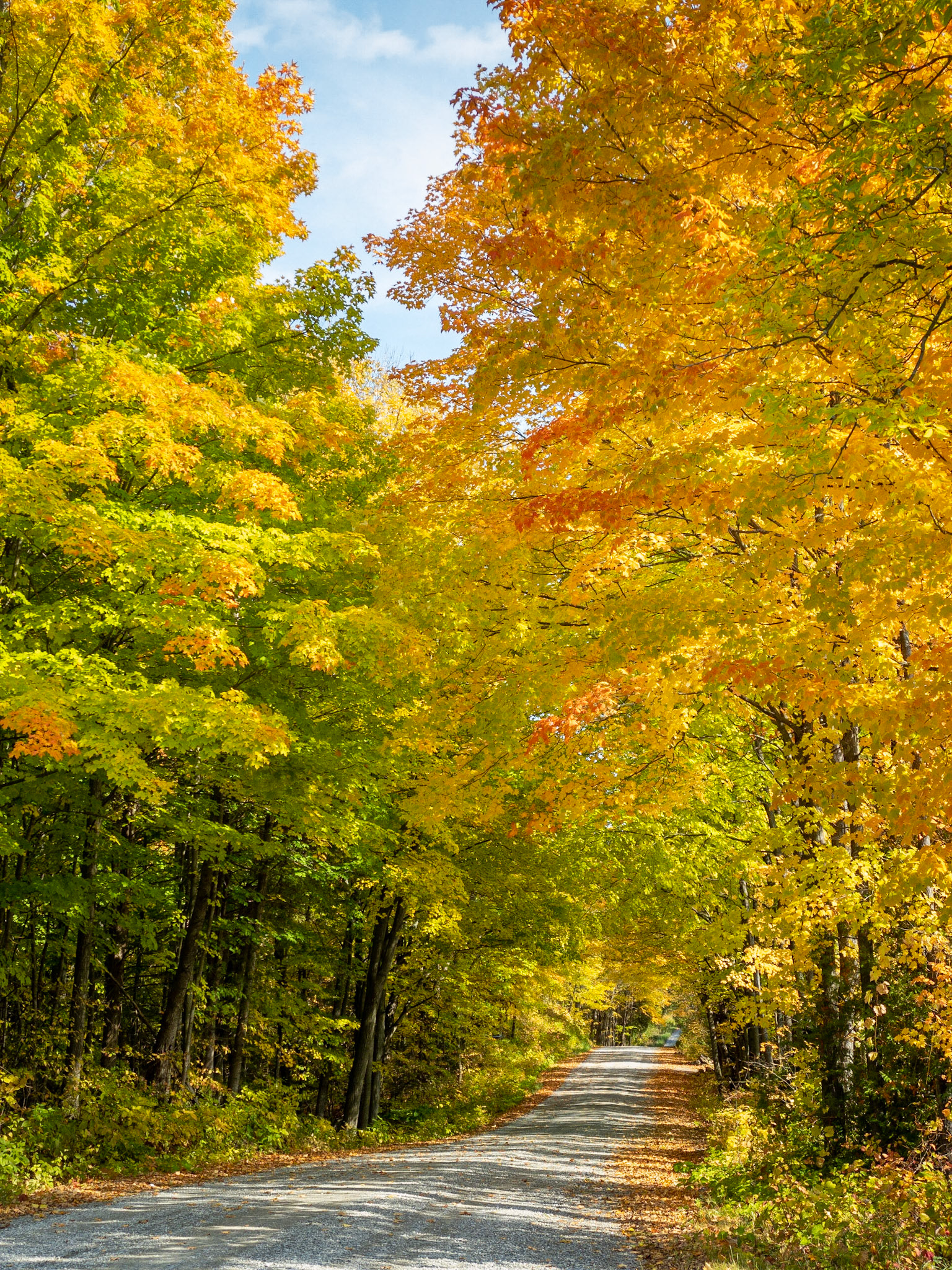 Rural Road, Autumn Colour, Ontario