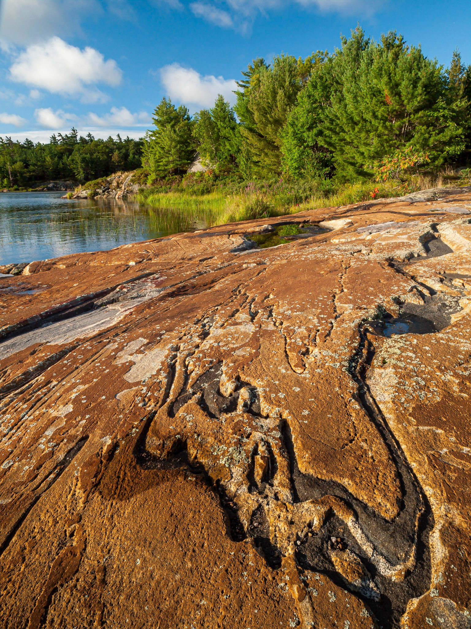 Designs in the Rock, The Massasauga Provincial Park, Ontario
