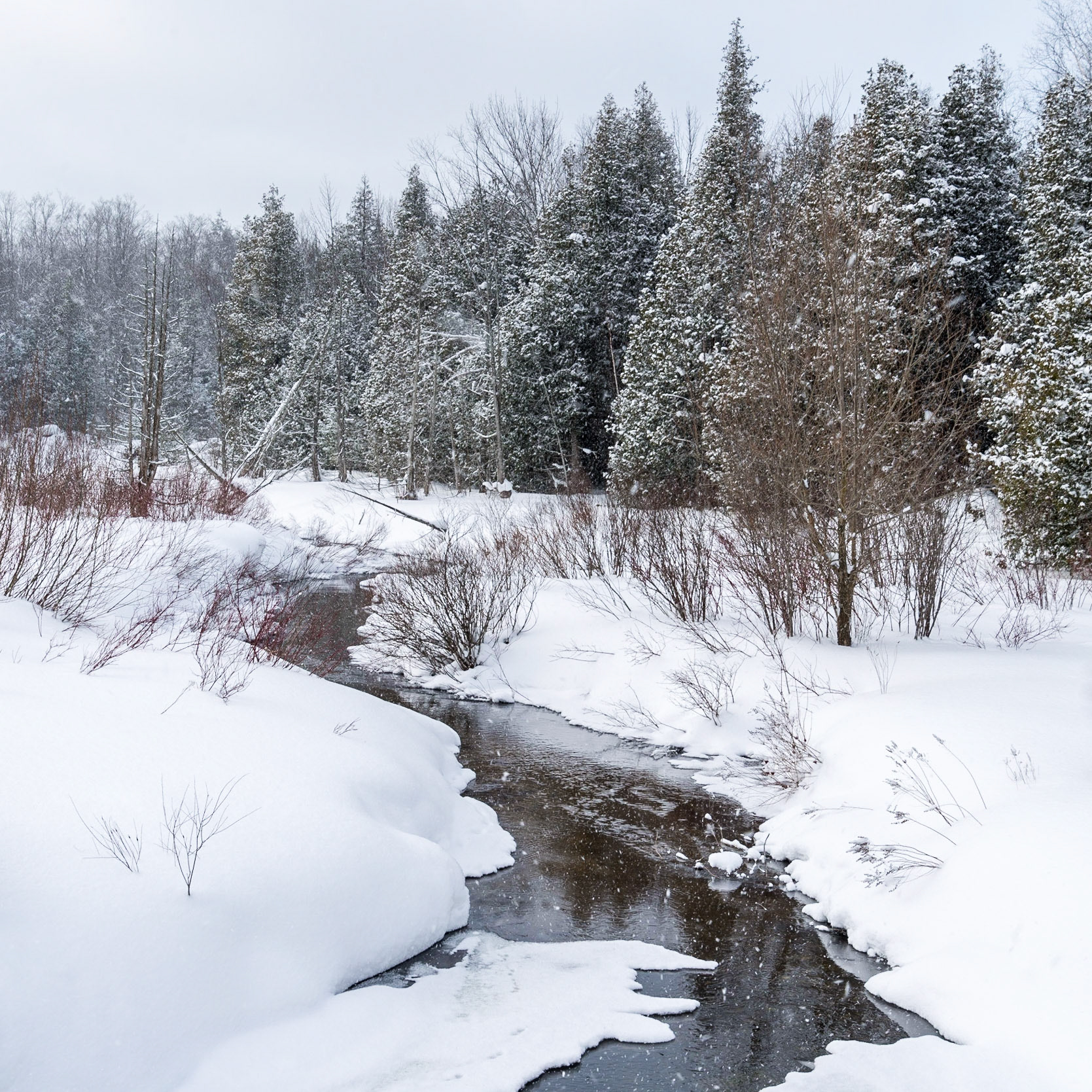 Grey County, Ontario