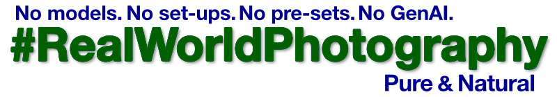 A text image that says: No models. No set-ups. No pre-sets. No GenAI. Real World Photography. Pure and Natural.