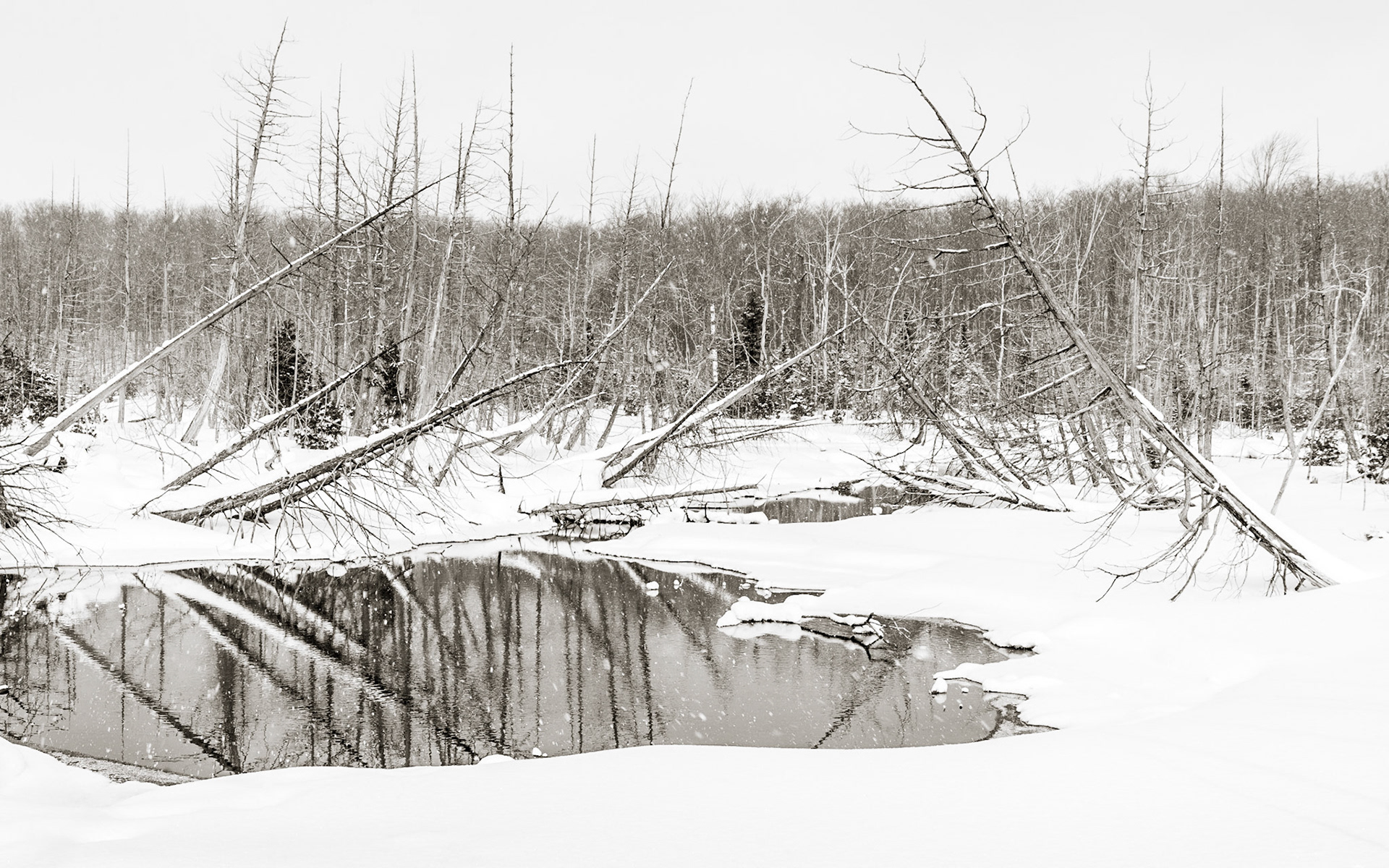 Grey County, Ontario