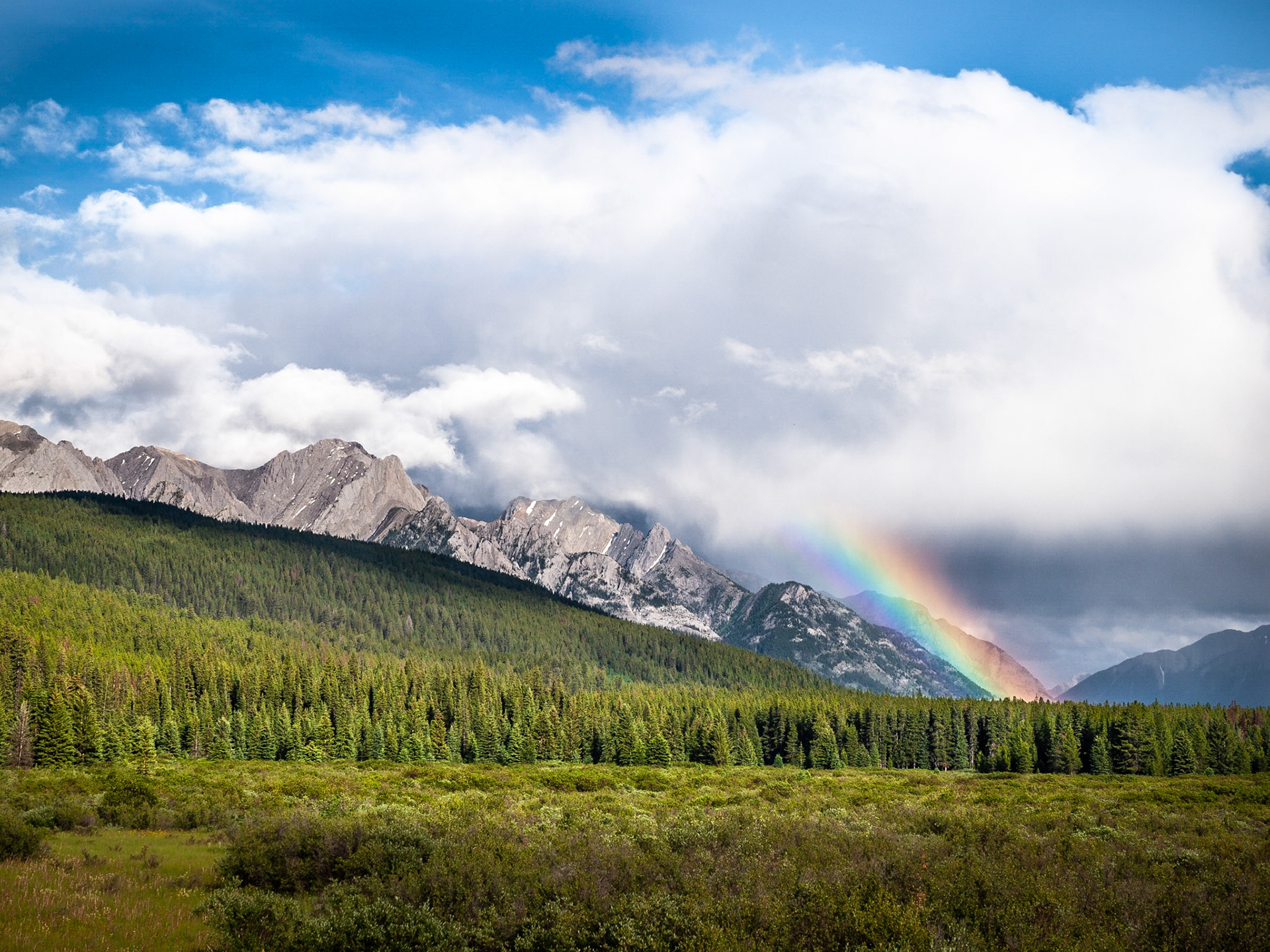 Rainbow, Moose Meadows, Banff National Park, Canada