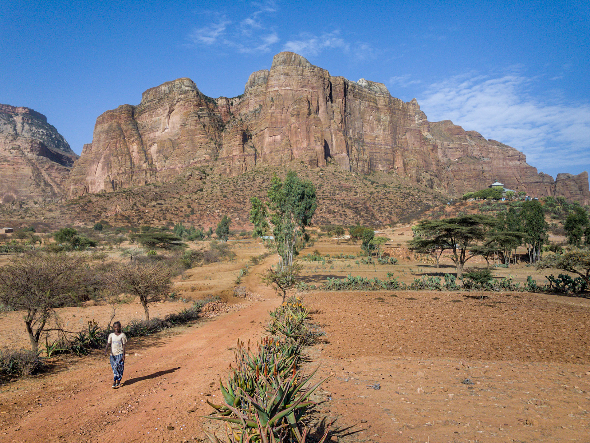 A young woman walks down the dusty red soil road below the imposing Gher'Alta mountains, Tigray, Ethiopia