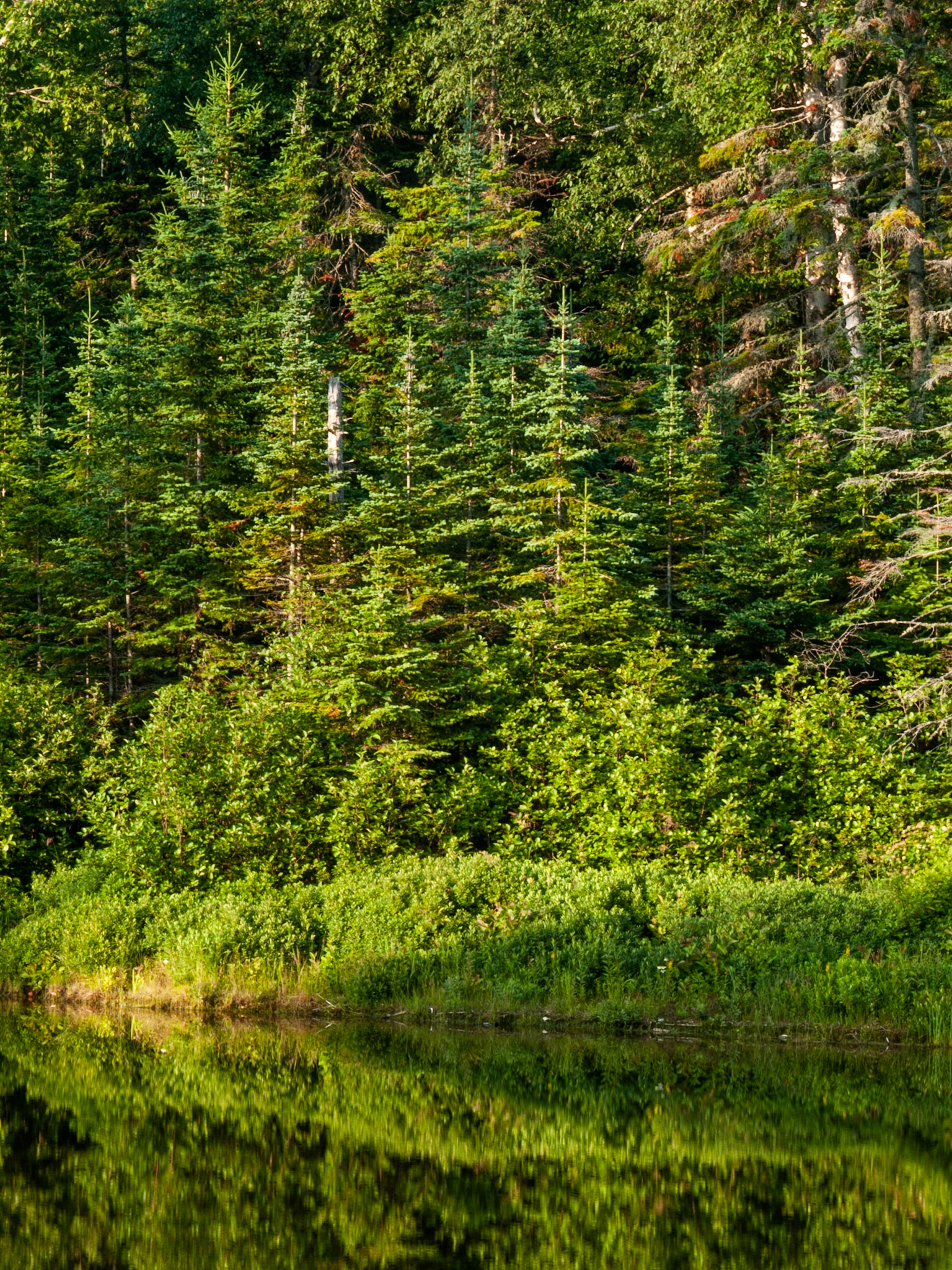 Green Wall, Lake Superior Provincial Park.