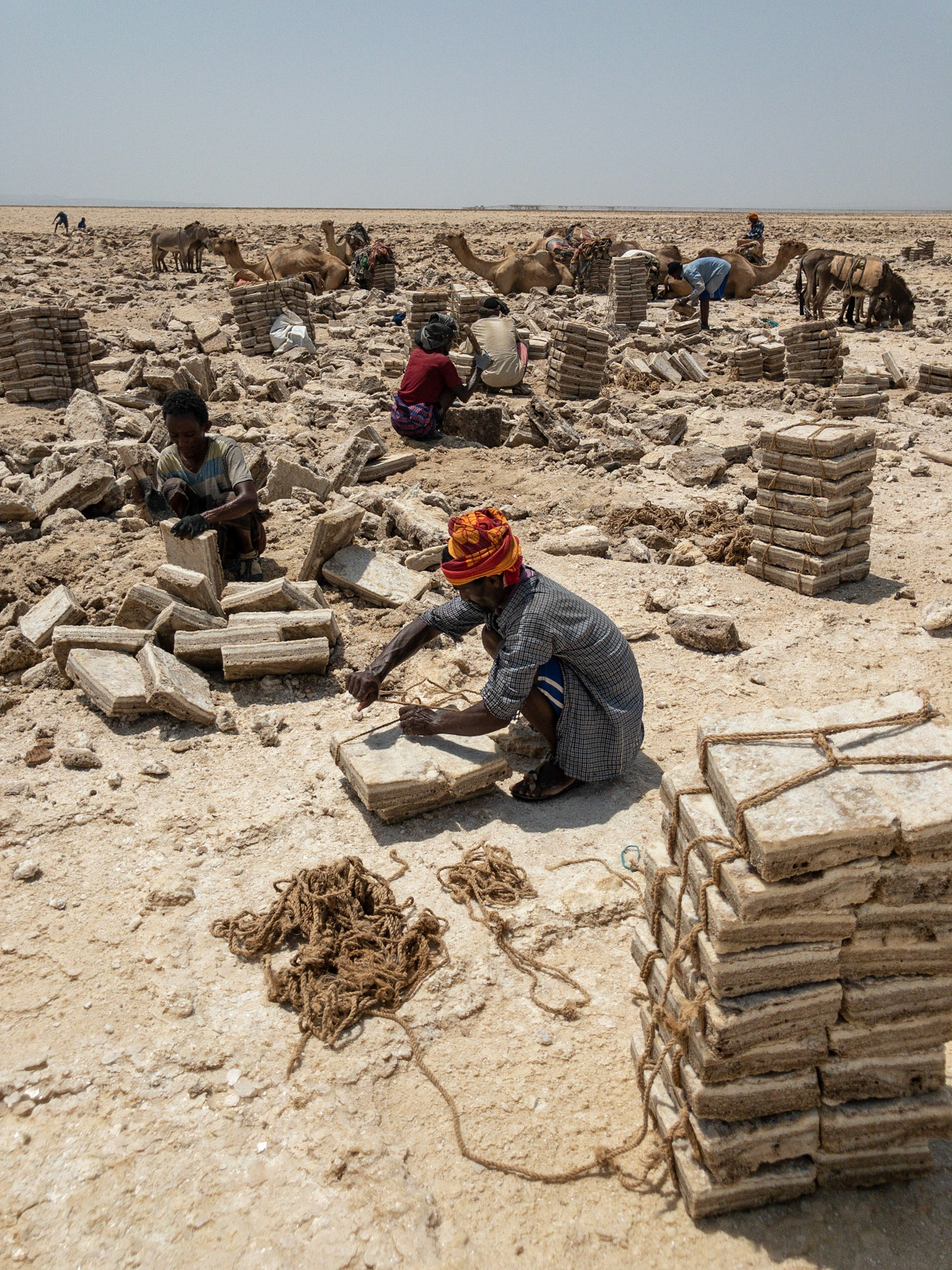 A salt miner ties a block of salt ready for transport at a salt mine on Lake Asale, in Ethiopia's Danakil Depression, the hottest, driest, most inhospitable place on Earth.