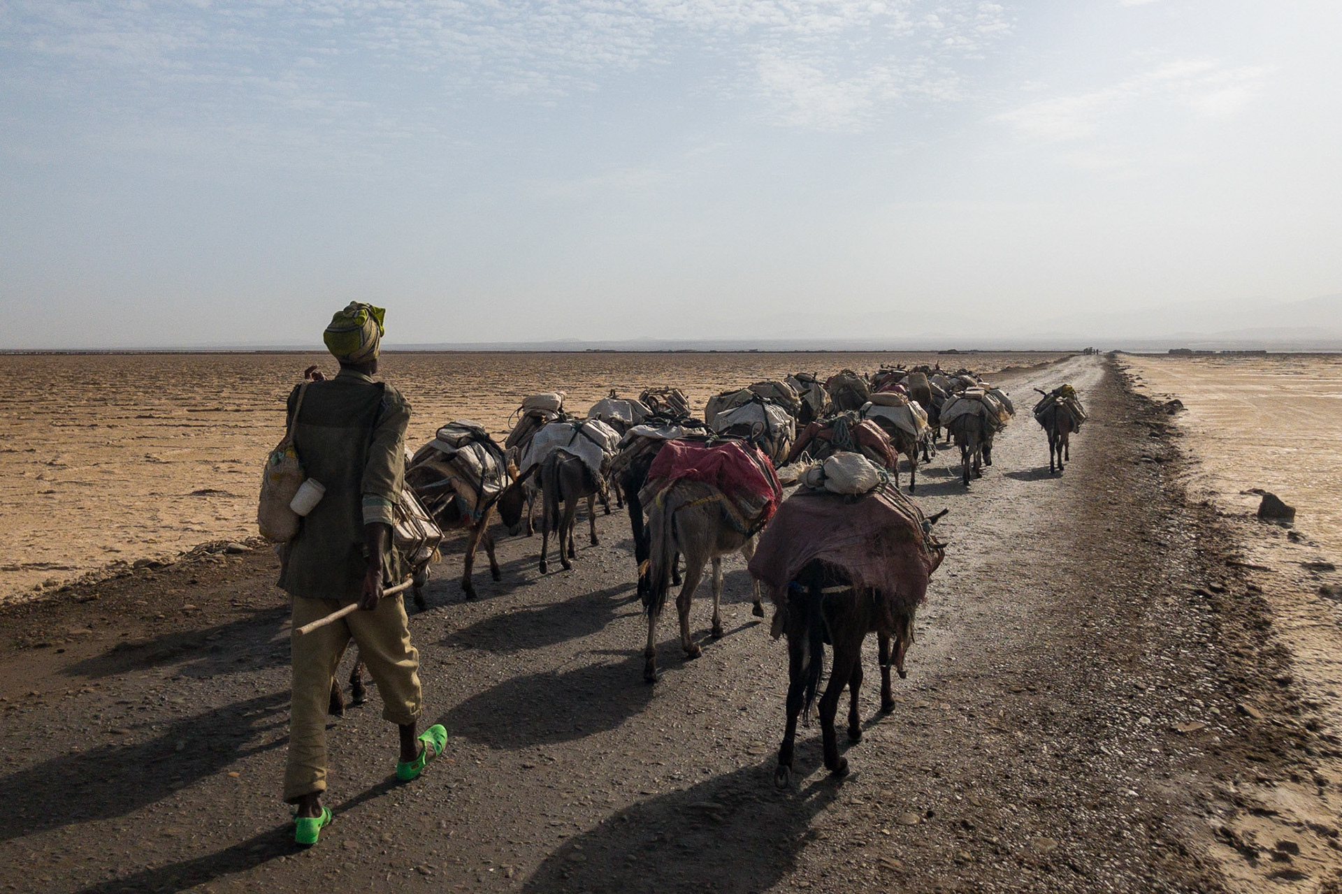 An Afari man in green plastic sandals guides a donkey train across the salt pan of the Danakil Depression, Ethiopia