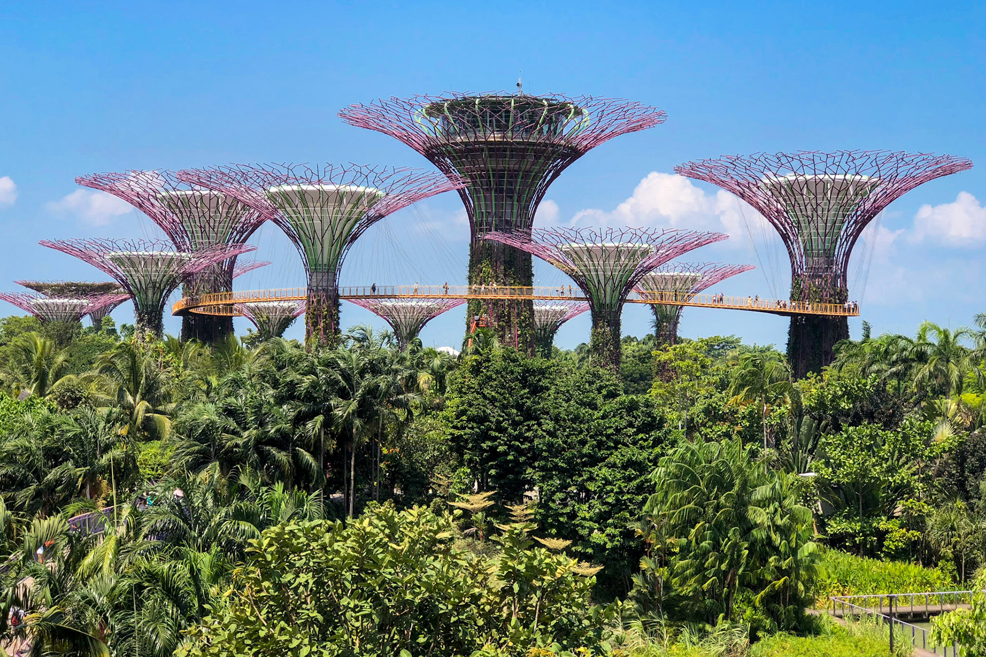 Supertree Grove, Gardens by the Sea, Singapore