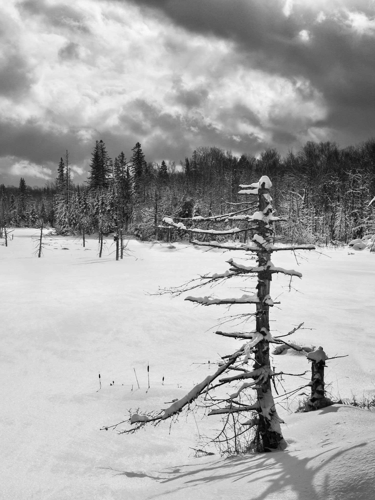Bark Lake Leadership Centre, Irondale, Ontario