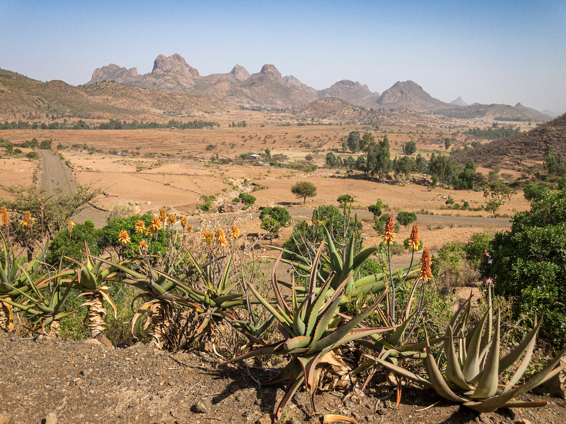 Road to Yeha, Tigray, Ethiopia