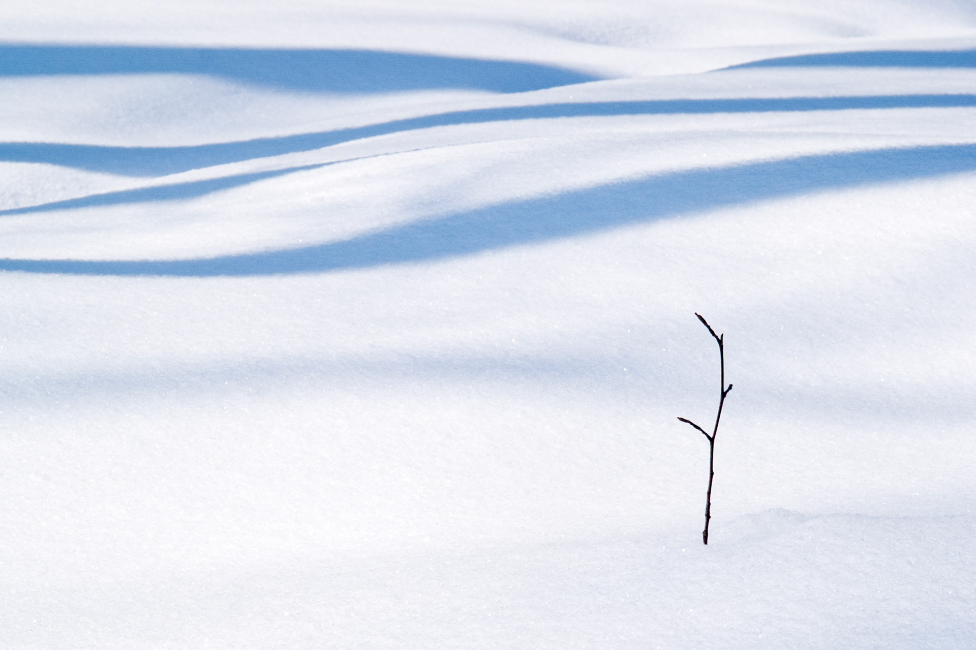 Hope for Spring, Ontario