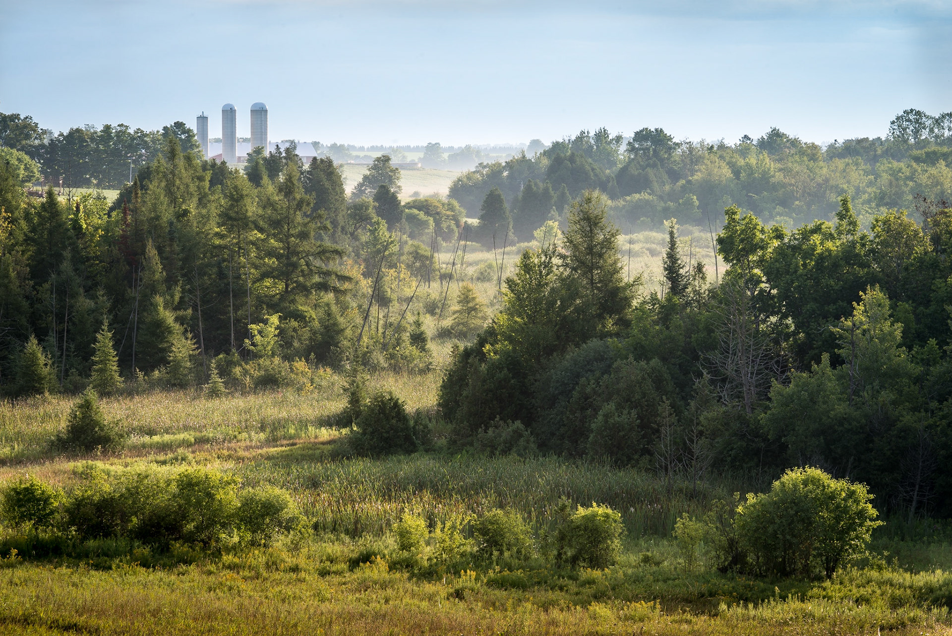 Summer morning rural countryside scene in Guelph-Eramosa Township, Wellington County, Ontario