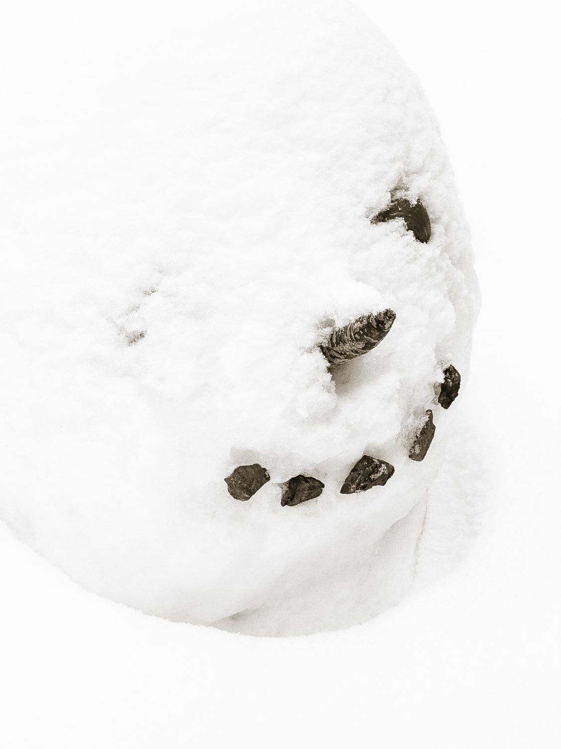 Smiling Snowy Face