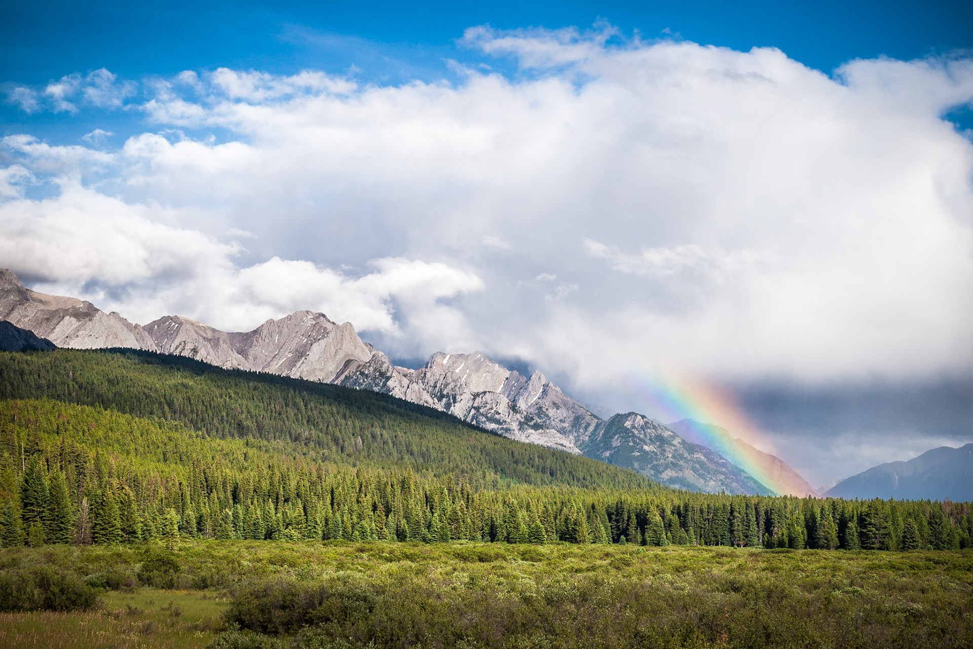 A rainbow forms over the Bow River Valley in Banff National Park, Alberta, Canada with billowing storm clouds rising above the mountain peaks and forests.