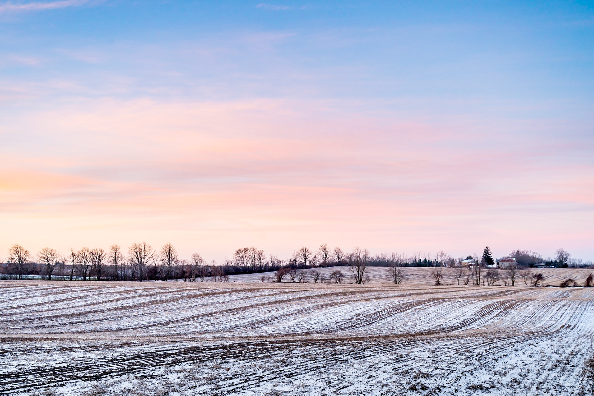 Winter Dawn, Waterloo Region, Ontario