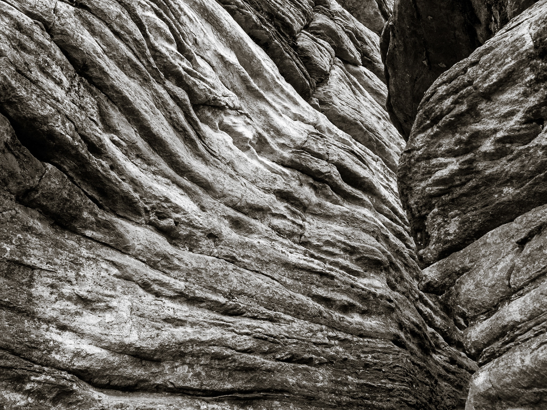 Waves of undulating sedimentary rock strata disappear around a meander in the Athabasca River gorge in Jasper National Park in the Canadian Rocky Mountains