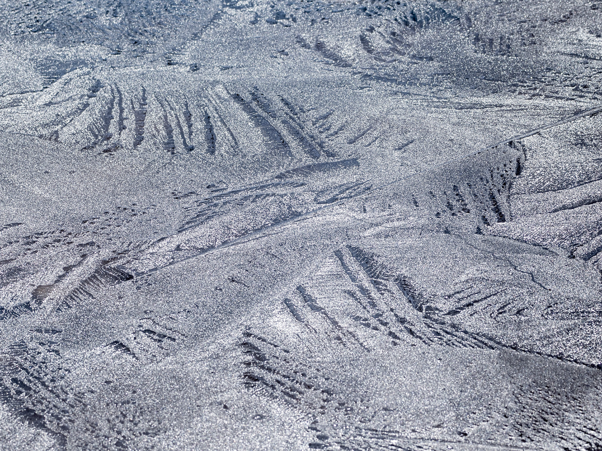 Ice Patterns