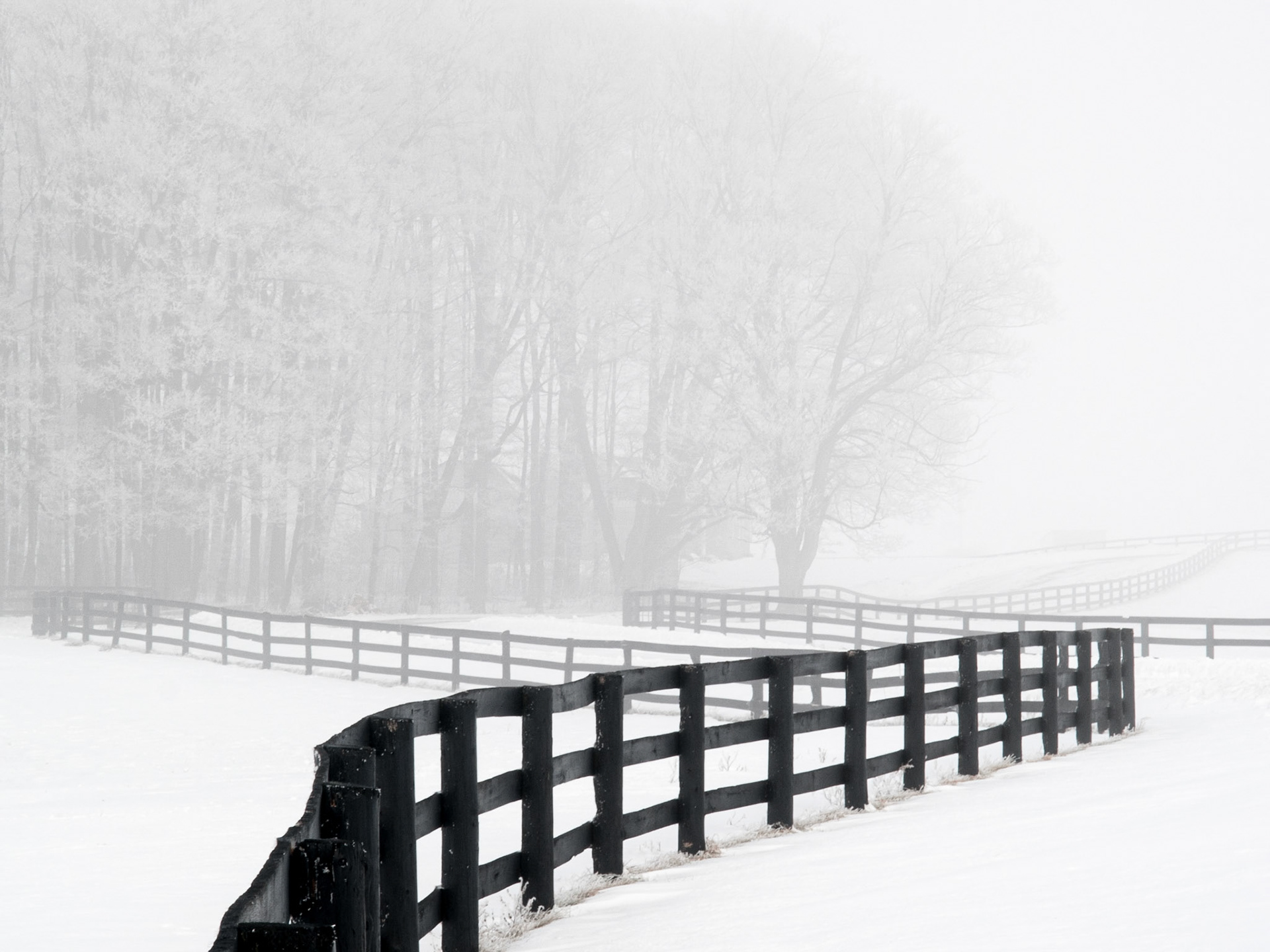 Fences, Fog and Hoar Frost (H)