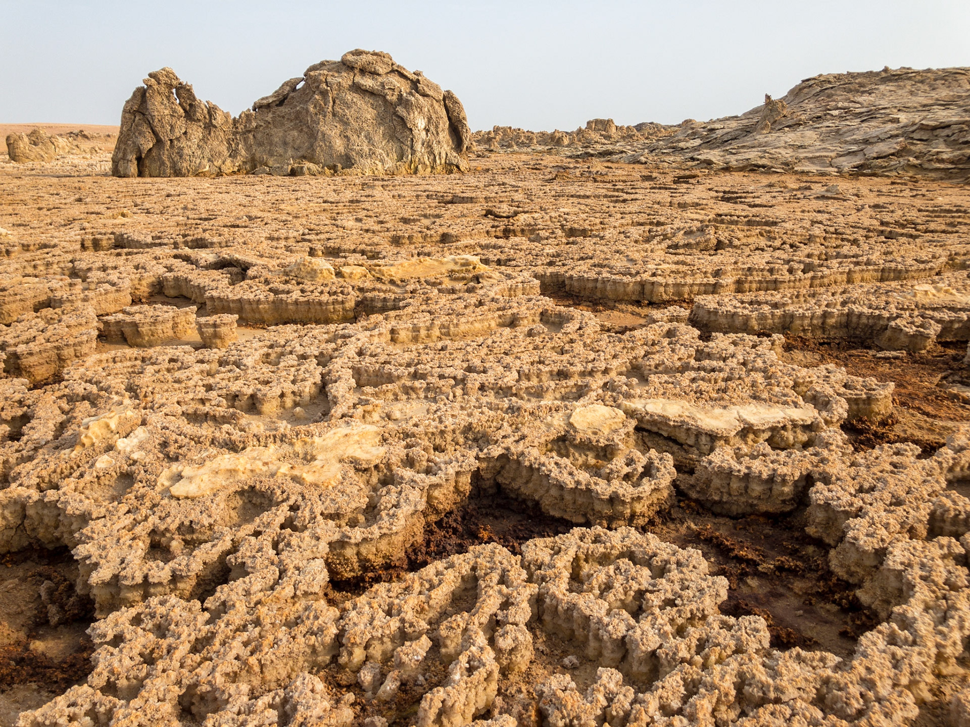 Curvilinear patterns of dried salt stretch across the desolate landscape of Asale in Ethiopia’s Danakil Depression, the hottest, driest, most inhospitable place on Earth.