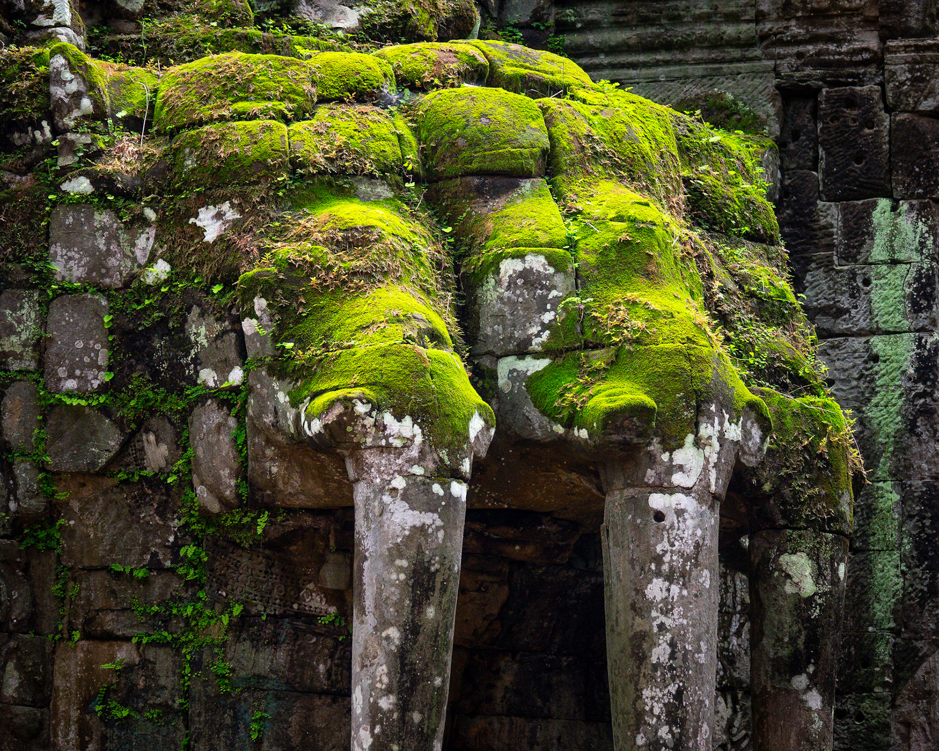 Detail: Elephants, Victory Gate, Angkor Thom, Cambodia