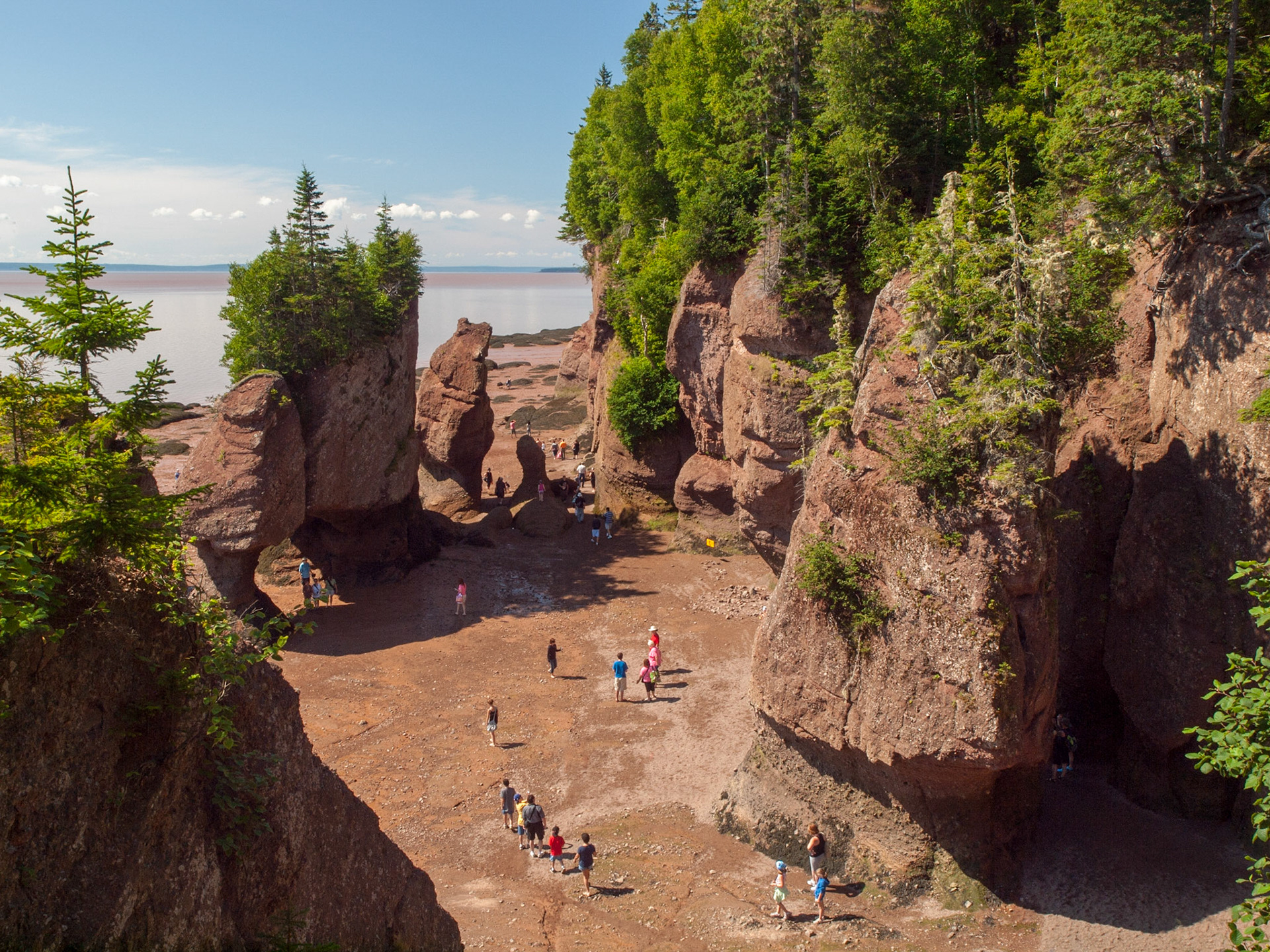 Tourists walking on the ocean floor amongst the tall flowerpots and sea stacks along the shore of the Bay of fundy