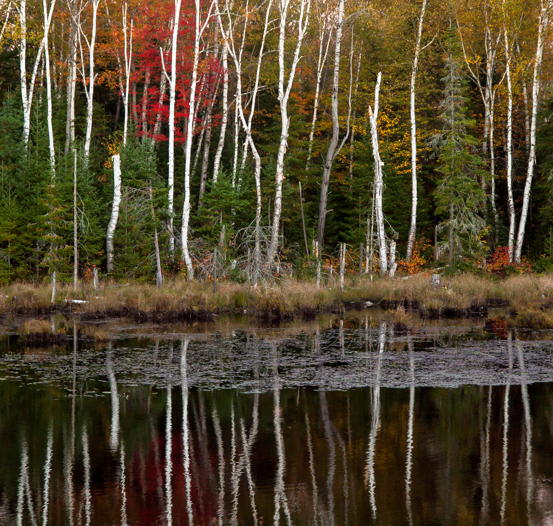 Bark Lake Leadership Centre, Irondale, Ontario