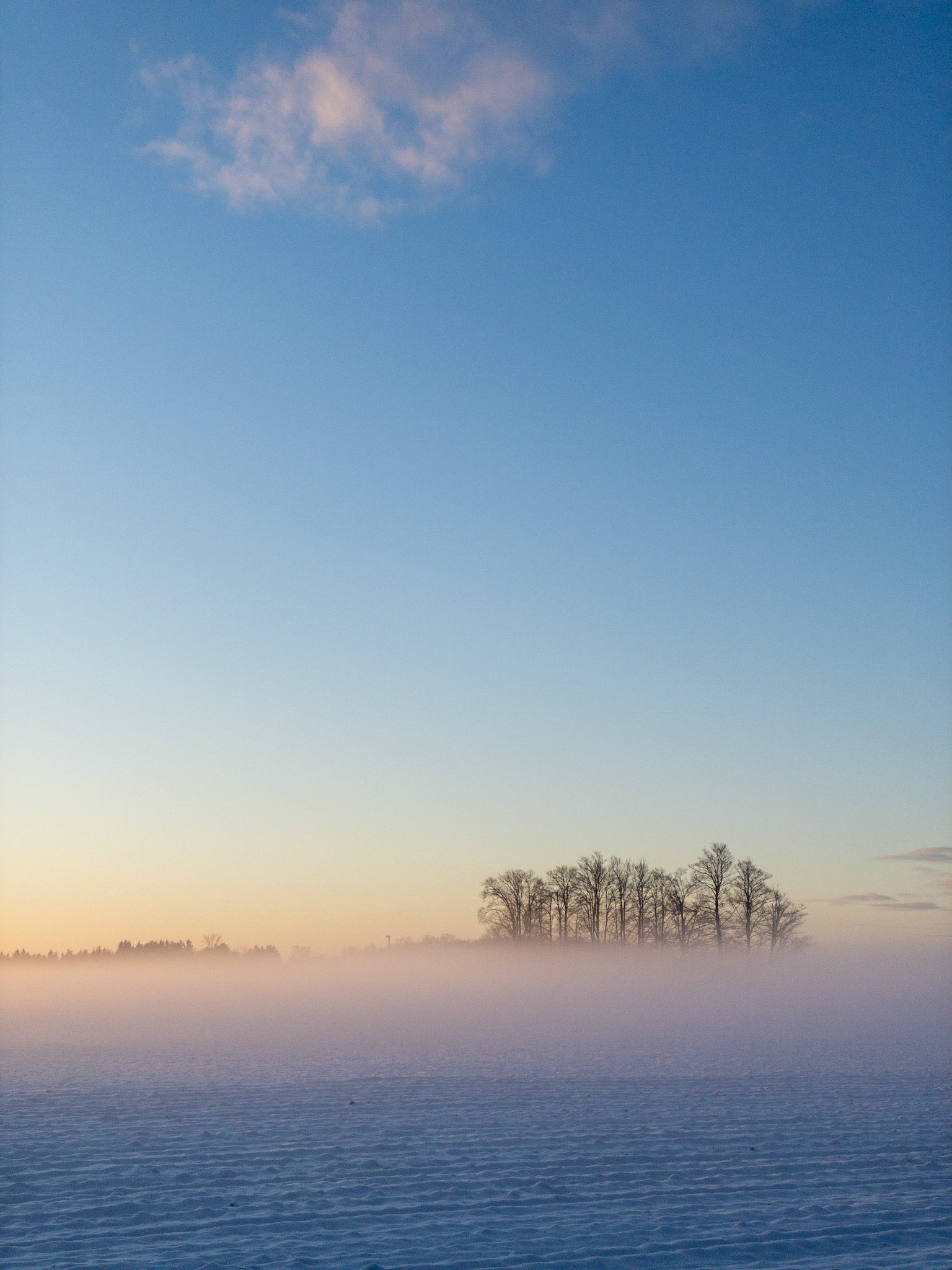 Dawn Light, Ground Fog and Winter Snow (V)