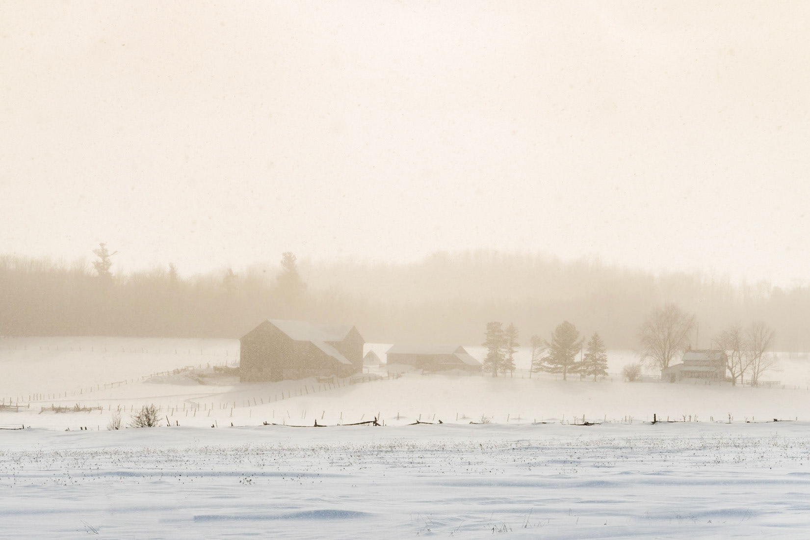 Afternoon Squall, Grey County, Ontario