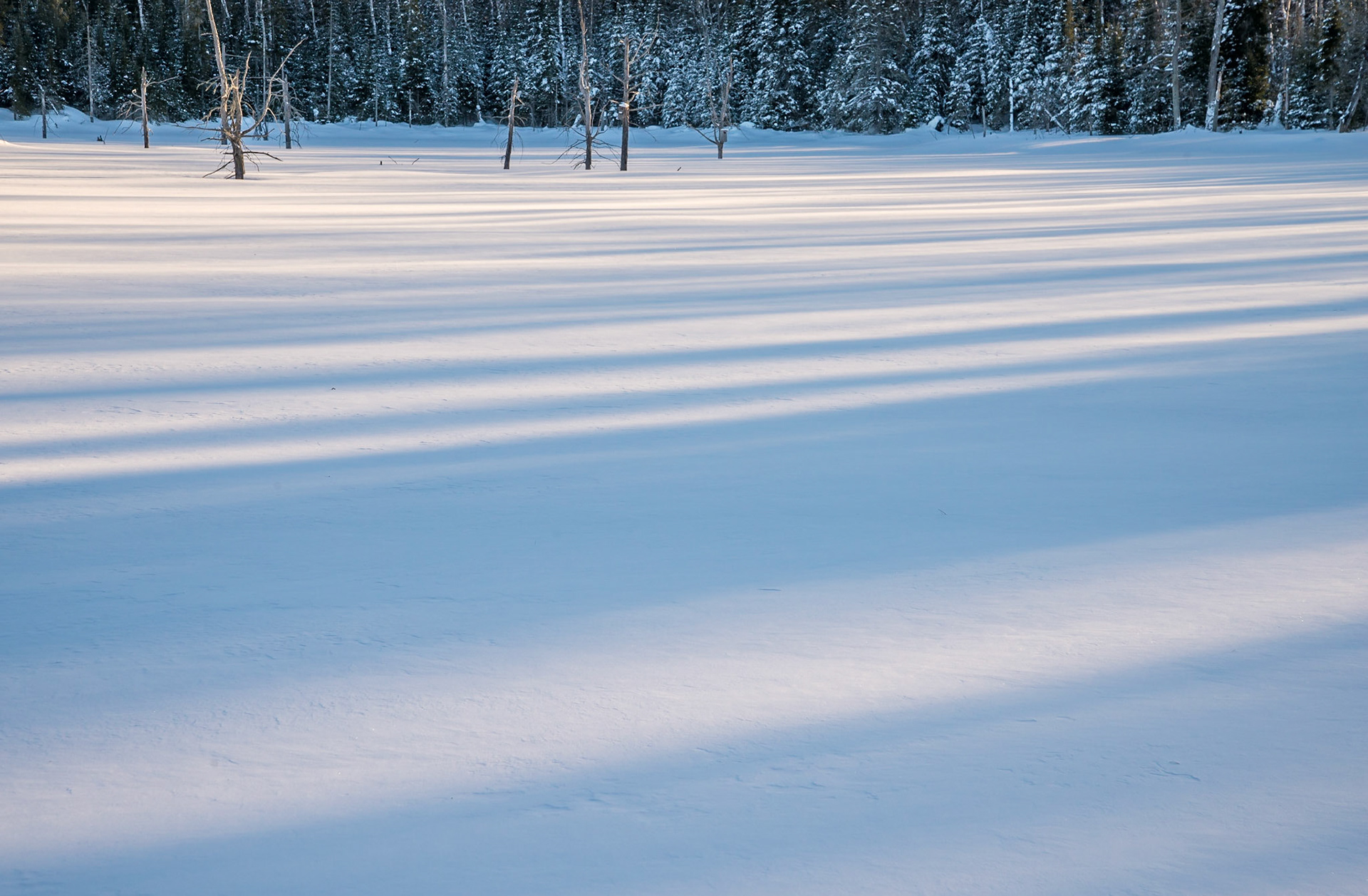 Long lines of shadows from an evening sun cross a flat snowy expanse