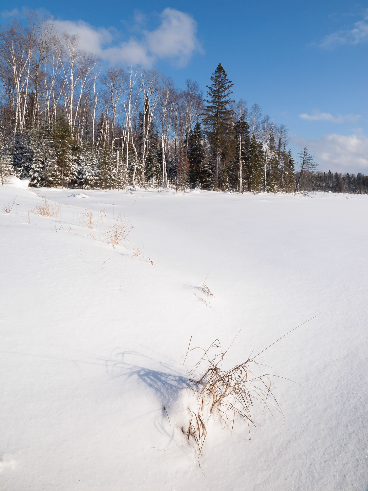Winter, Bark Lake Leadership Camp, Ontario