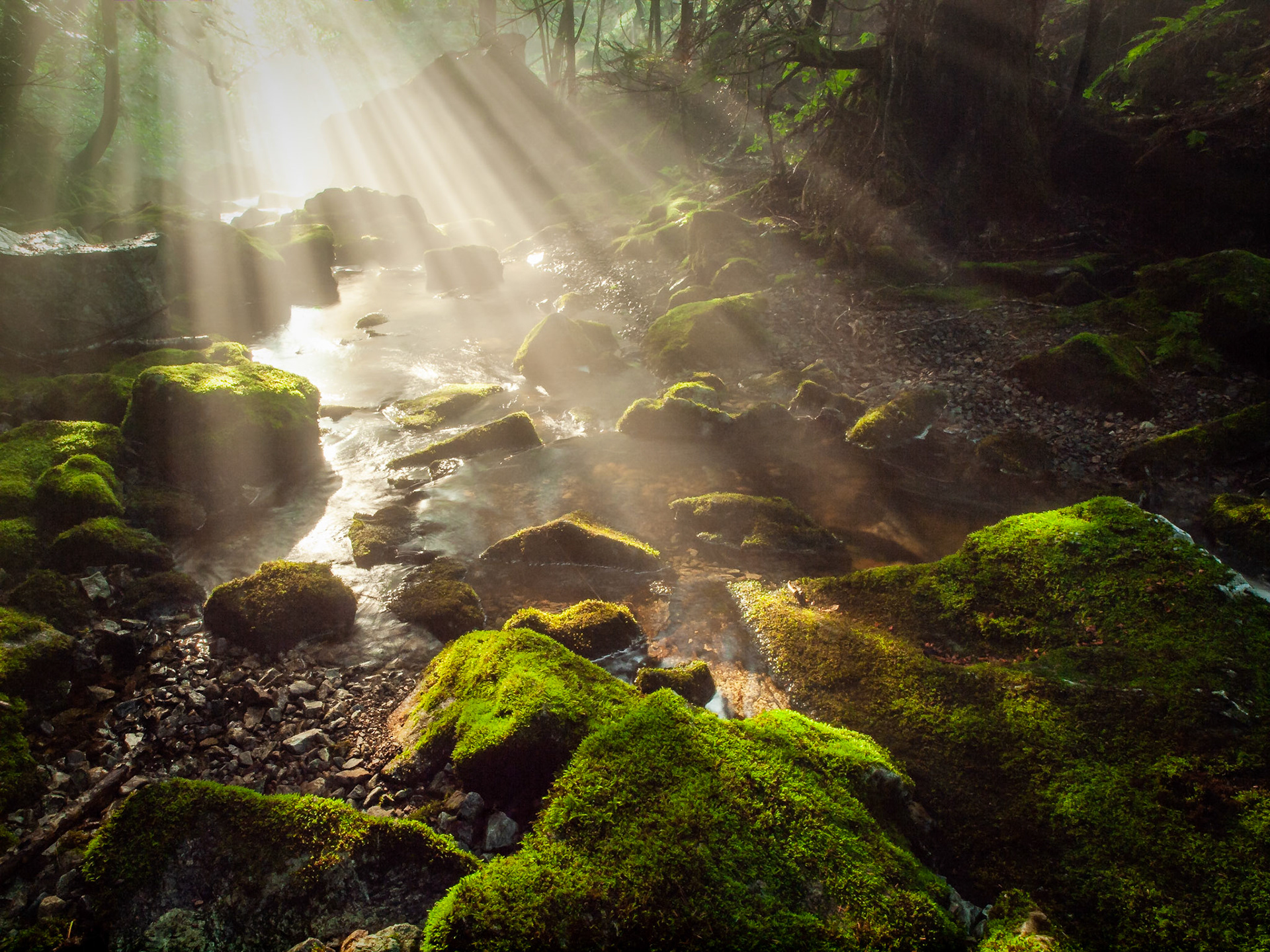 Kinnie Brook, Fundy National Park, New Brunswick