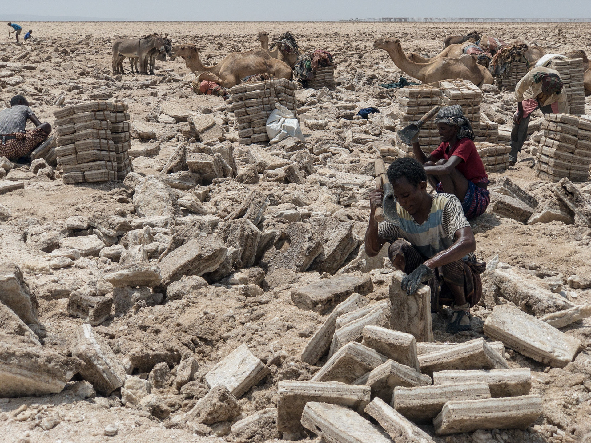 A salt miner trims a block of salt at a salt mine on Lake Asale, in Ethiopia's Danakil Depression, the hottest, driest, most inhospitable place on Earth.
